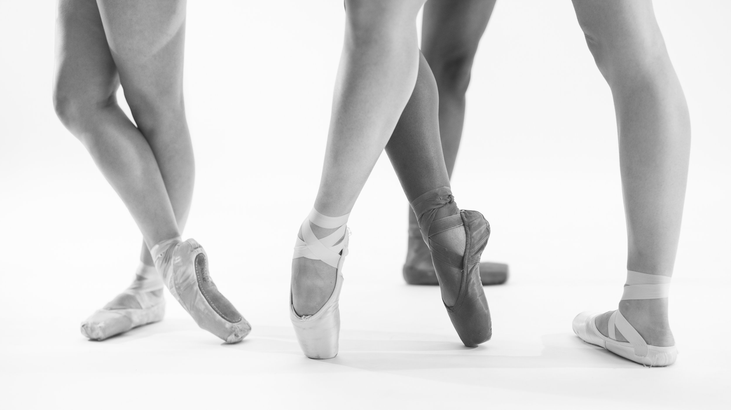 20th Anniversary Fall Gala Performance: Looking Back