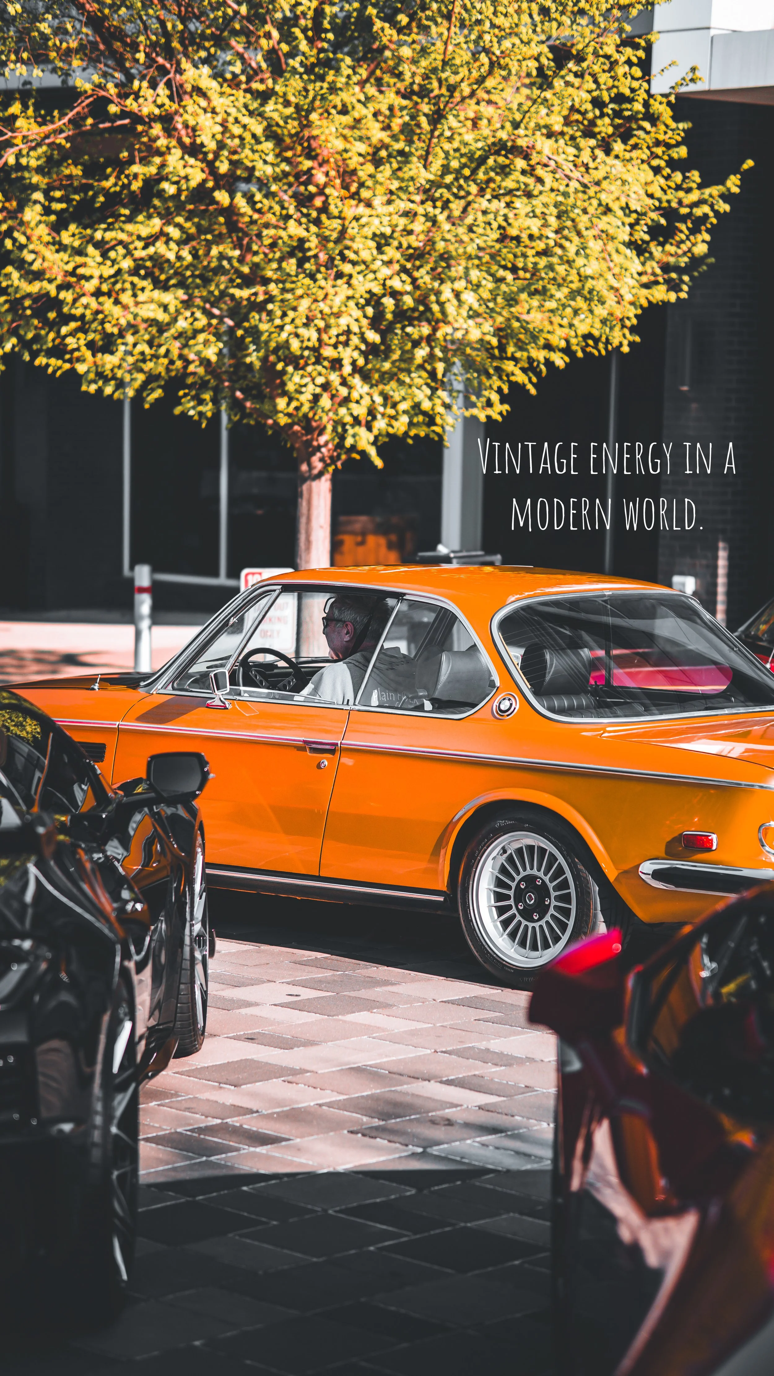 51461CEC-7C7C-41DD-9094-D2C604CC3A31.JPEG