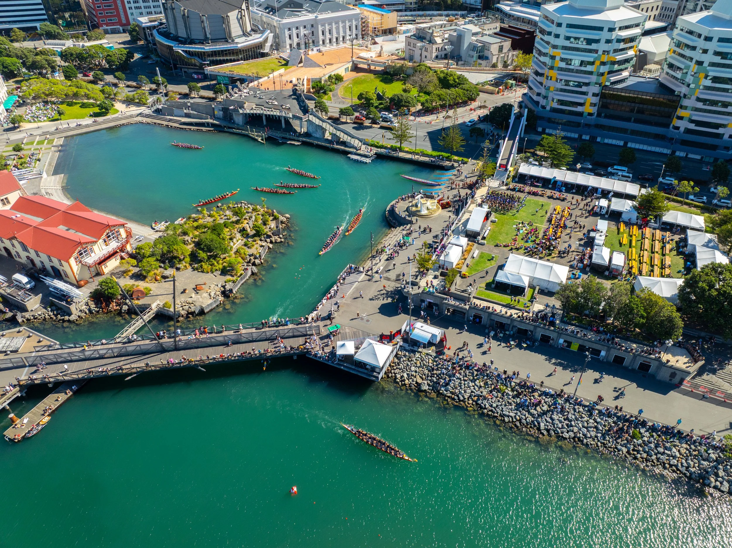 Wellington Dragon Boat Festival