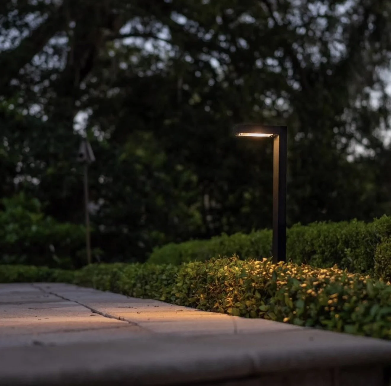A pathway with outdoor lighting and greenery at dusk or night.