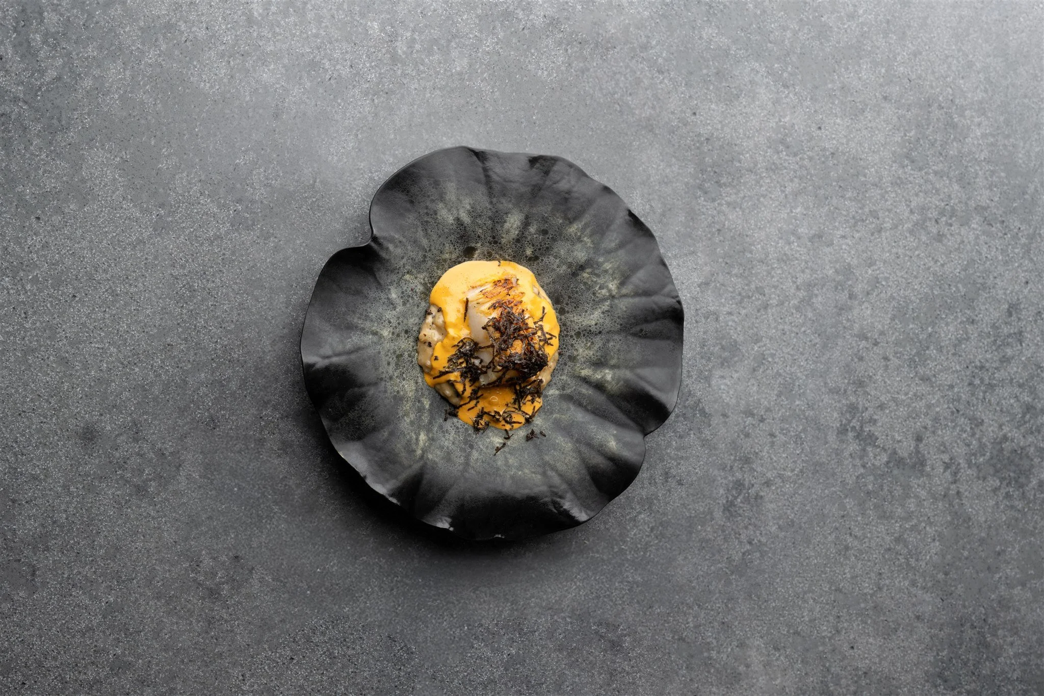 Truffle Alchemy