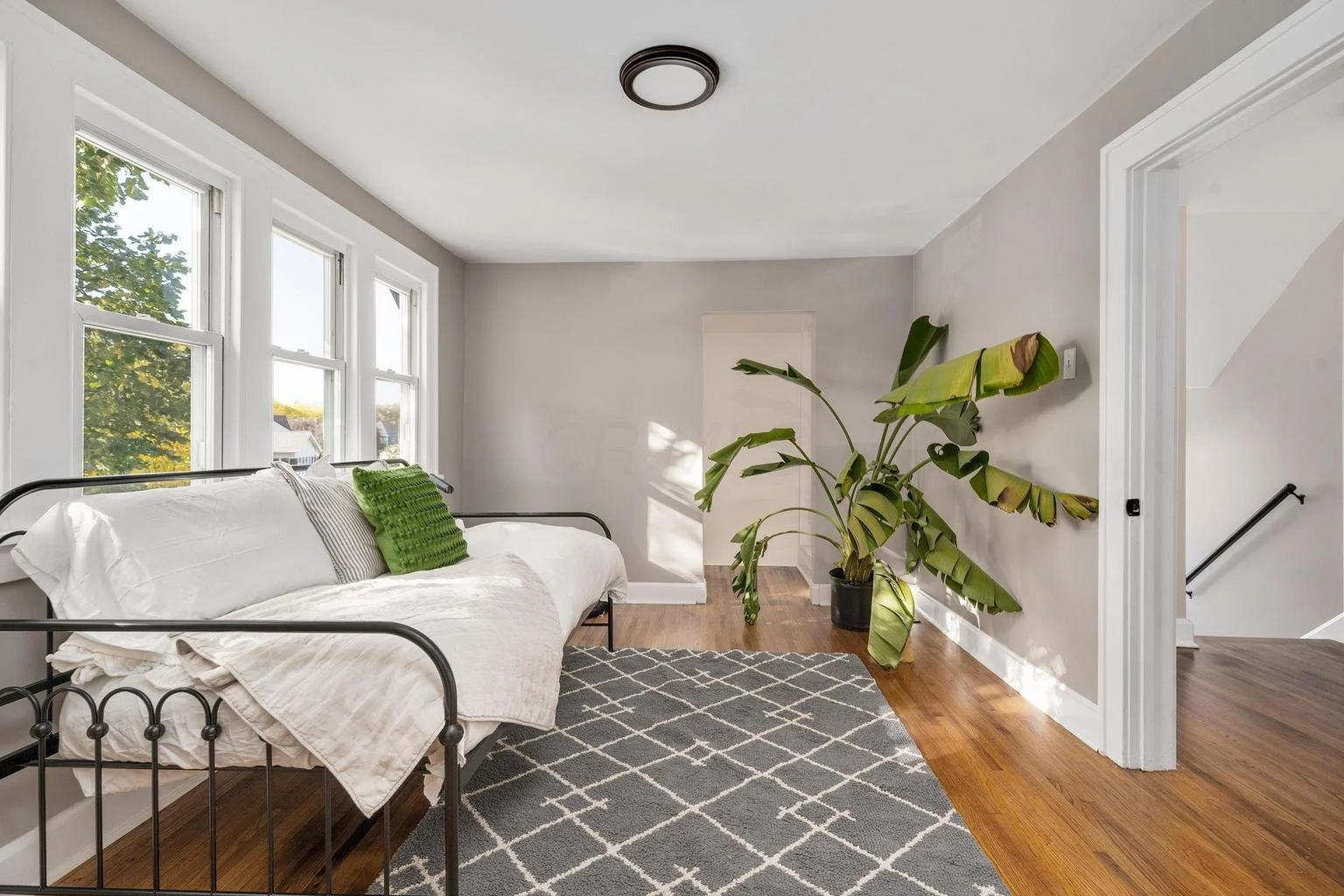 Living room with large windows, a black metal daybed with white bedding and green pillows, a gray and white patterned rug, and a tall potted plant with large green leaves.