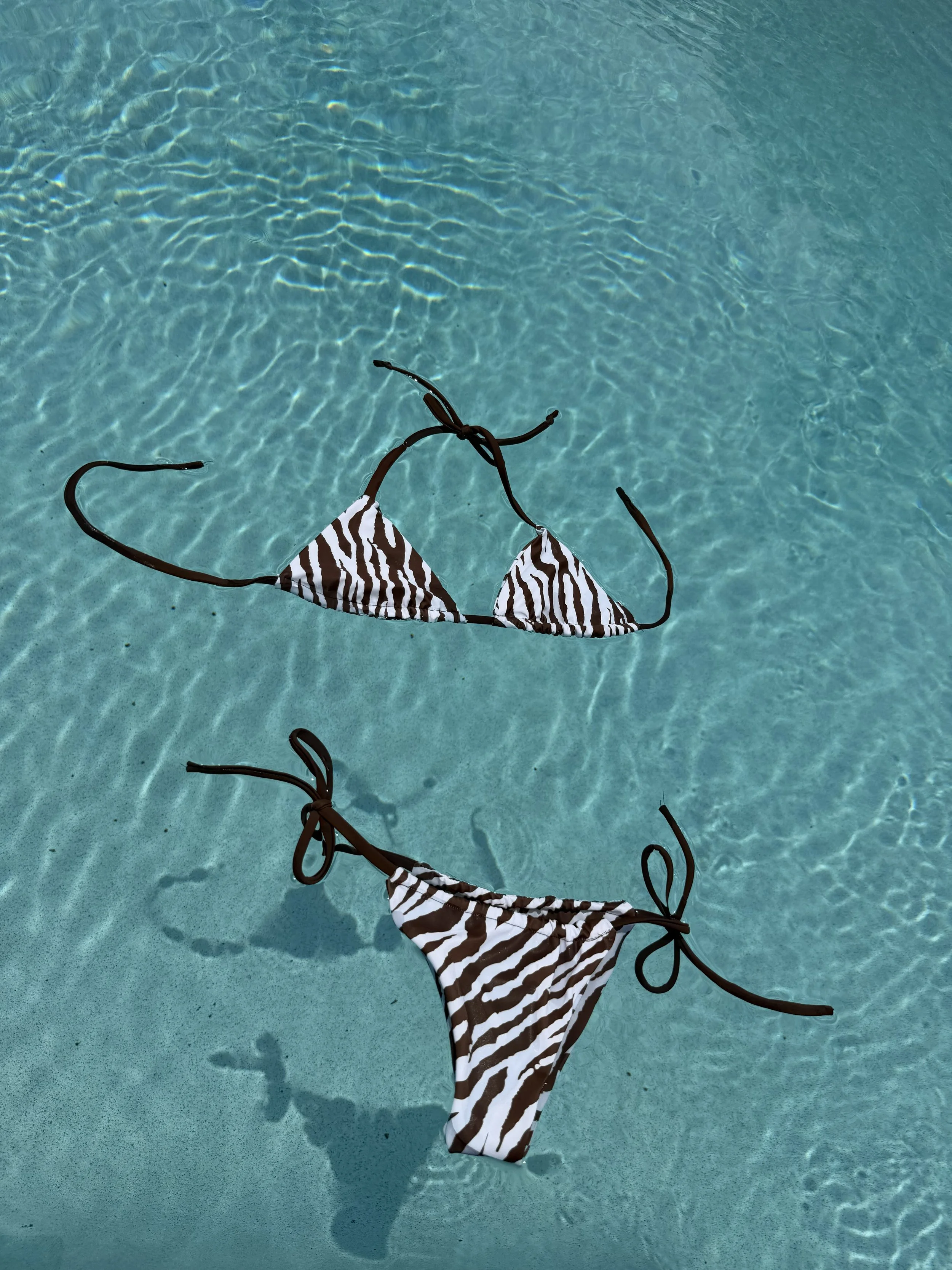 Brown Zebra Print Bikini Set