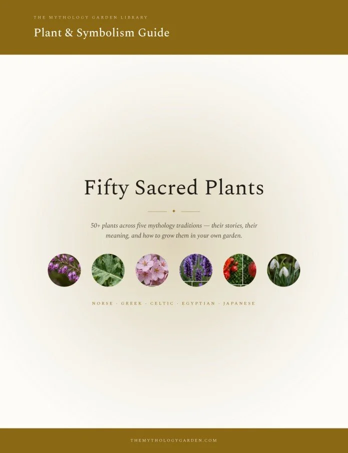 Plant & Symbolism Guide