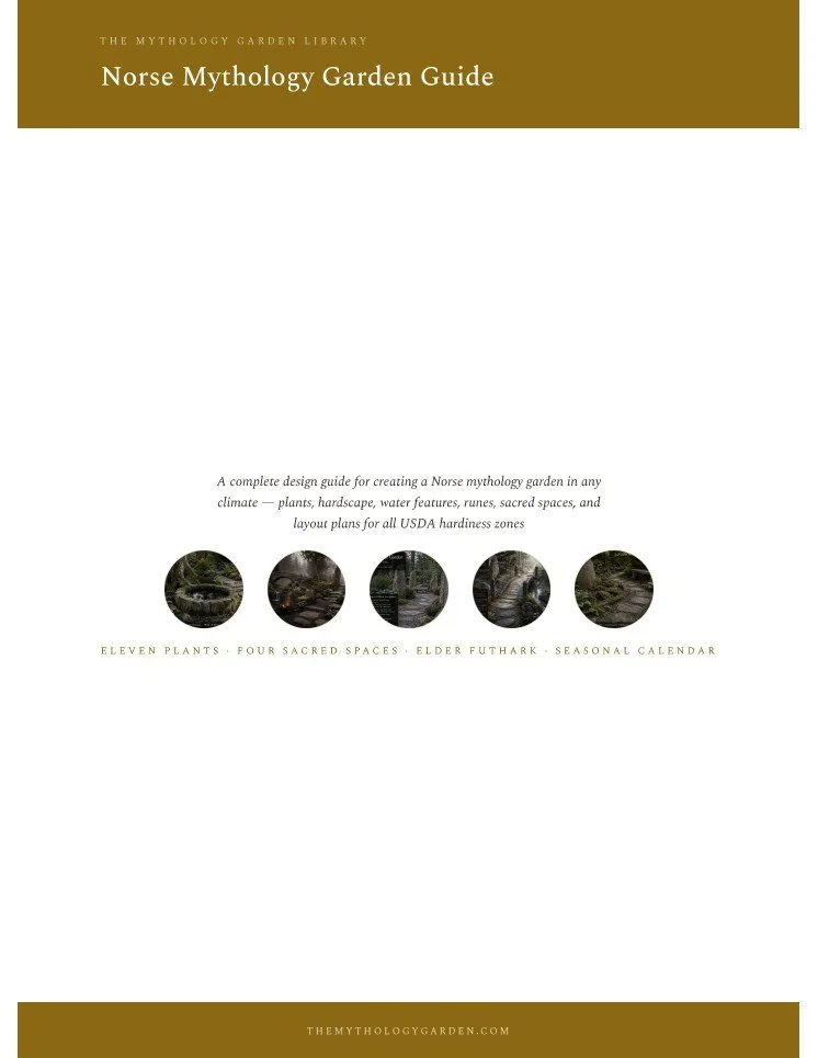 norse cover image.jpg