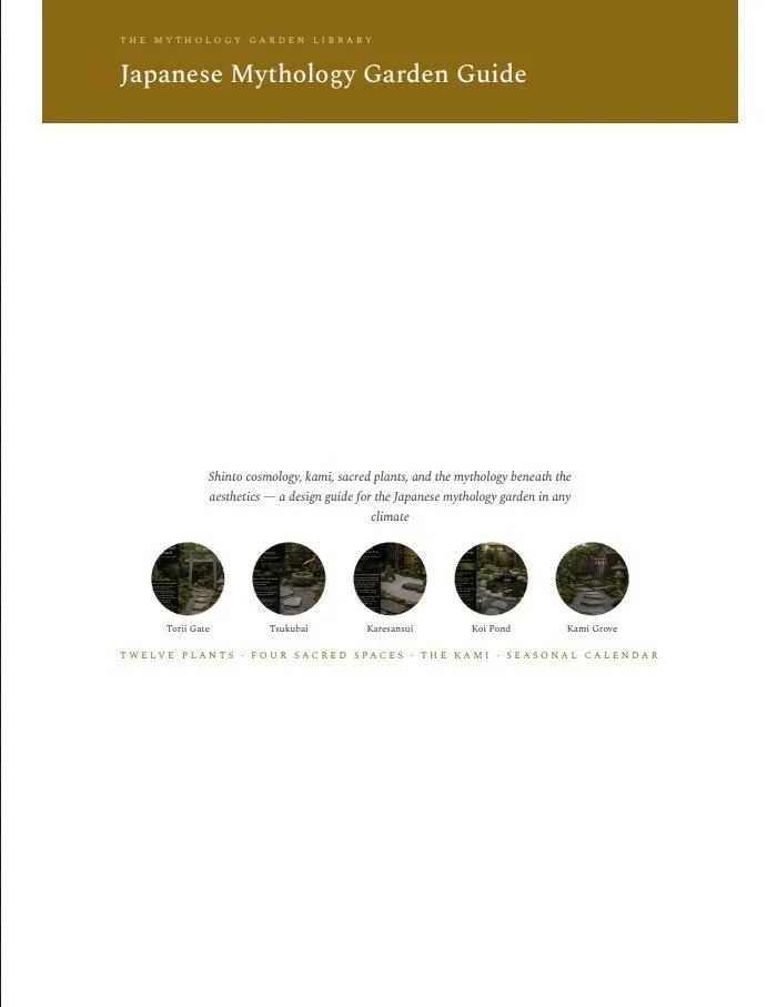 japanese cover image.jpg