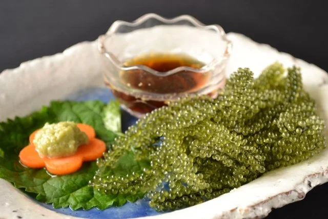 Sea Grapes (Umi Budō)