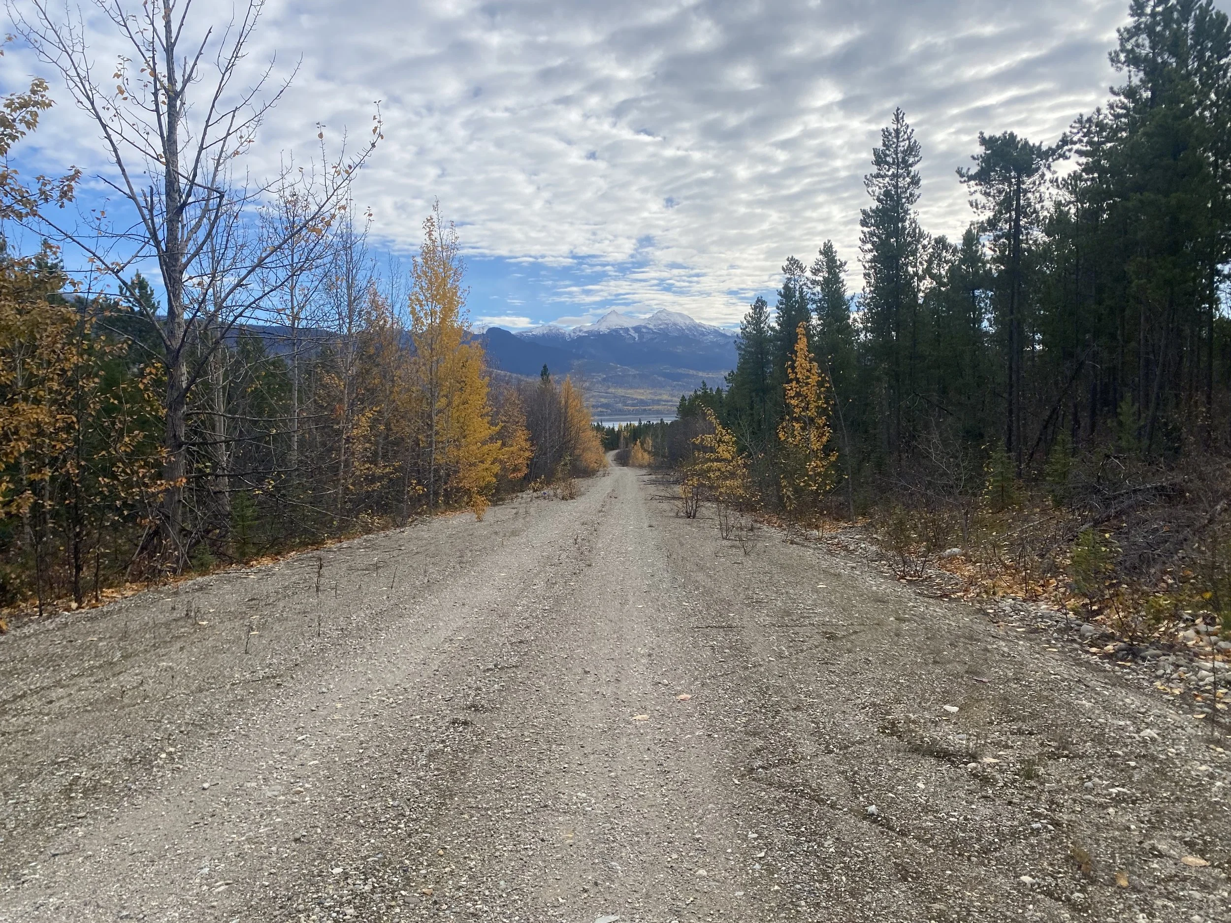 A dirt road running through a forest with trees in fall colors, snow-capped mountains in the background, and a partly cloudy sky.
