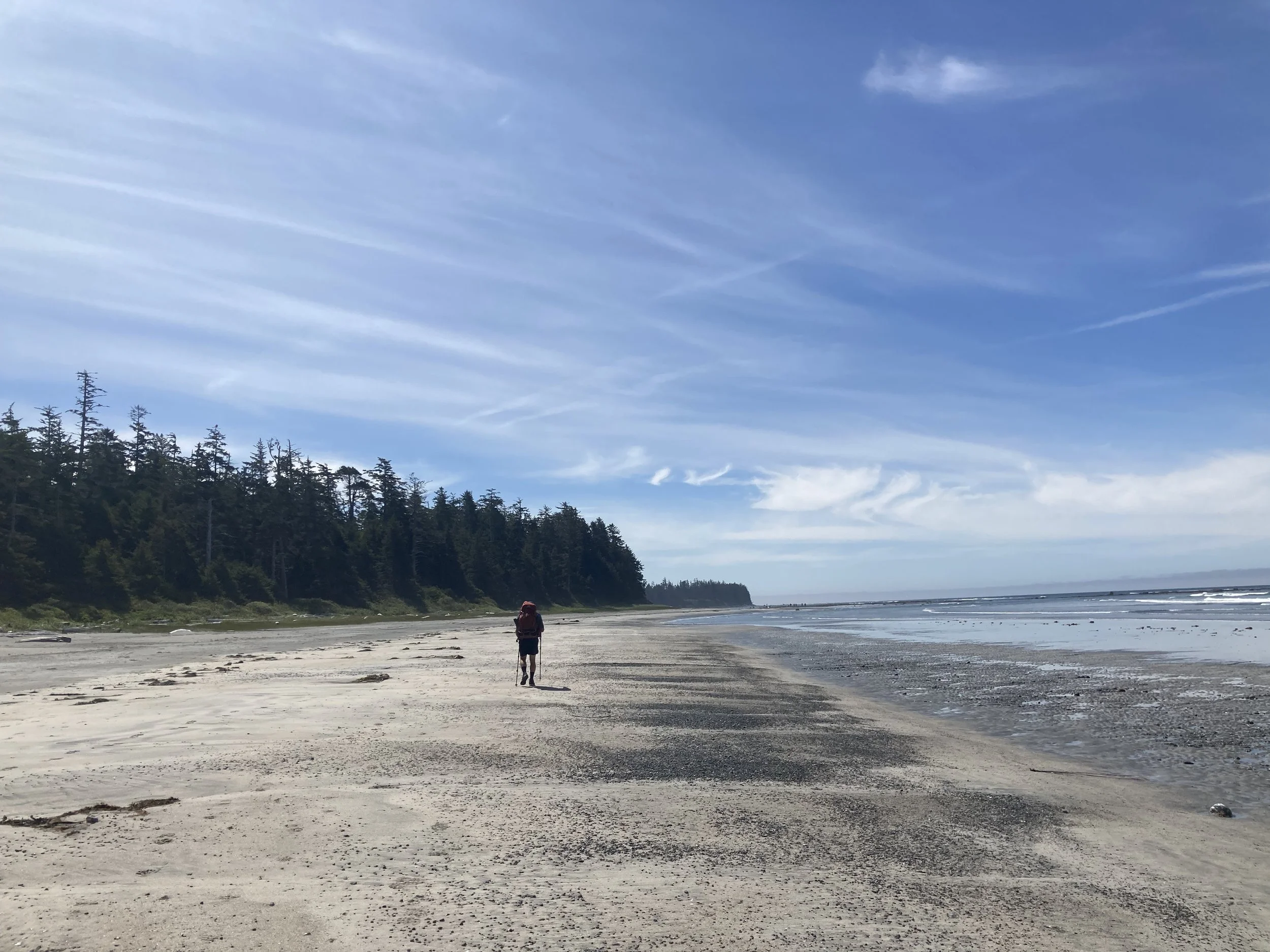 A person walking on a sandy beach with a backpack and hiking poles, near a forested area under a blue sky with wispy clouds.