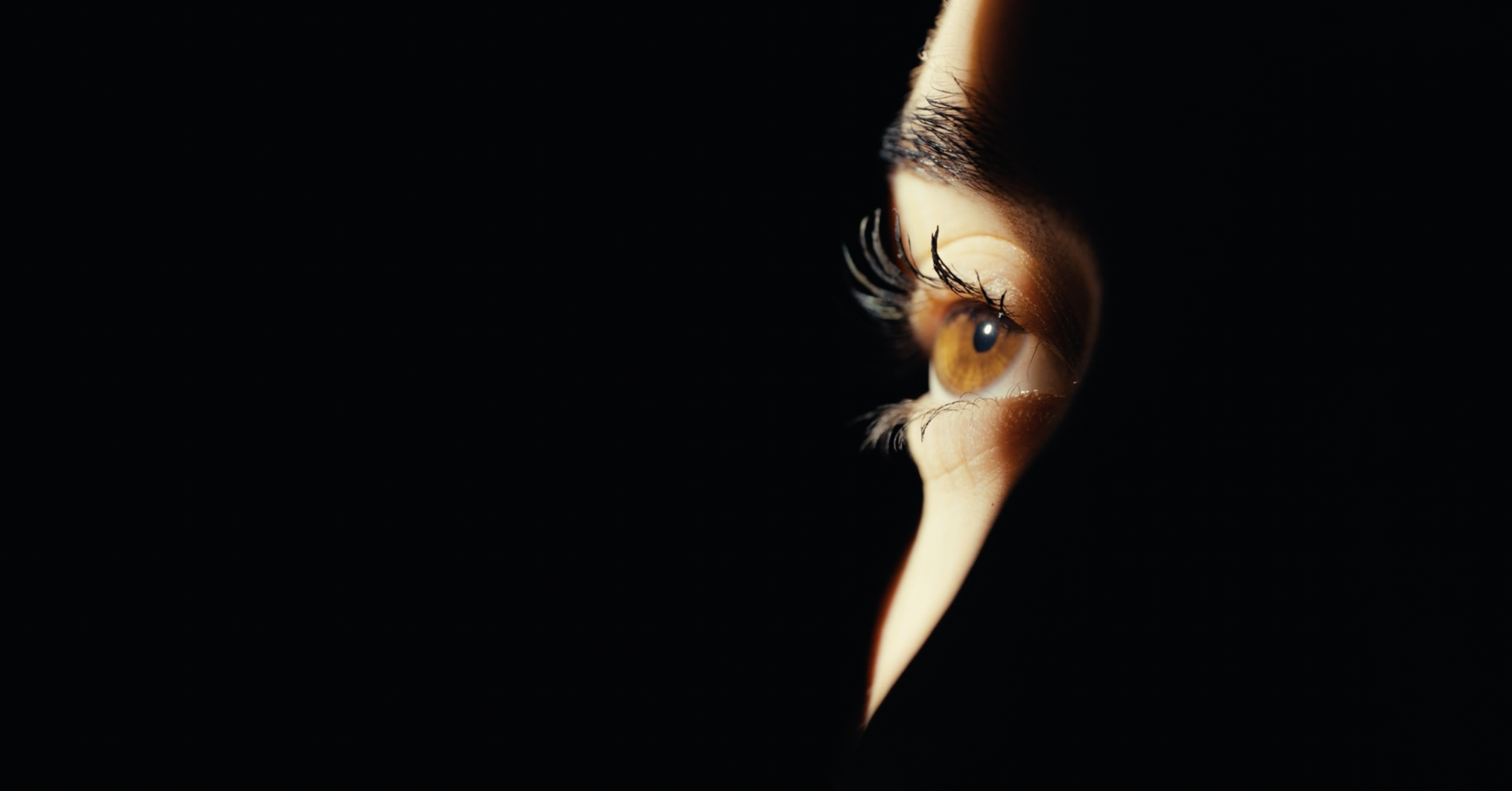 eye-shadow-light.png