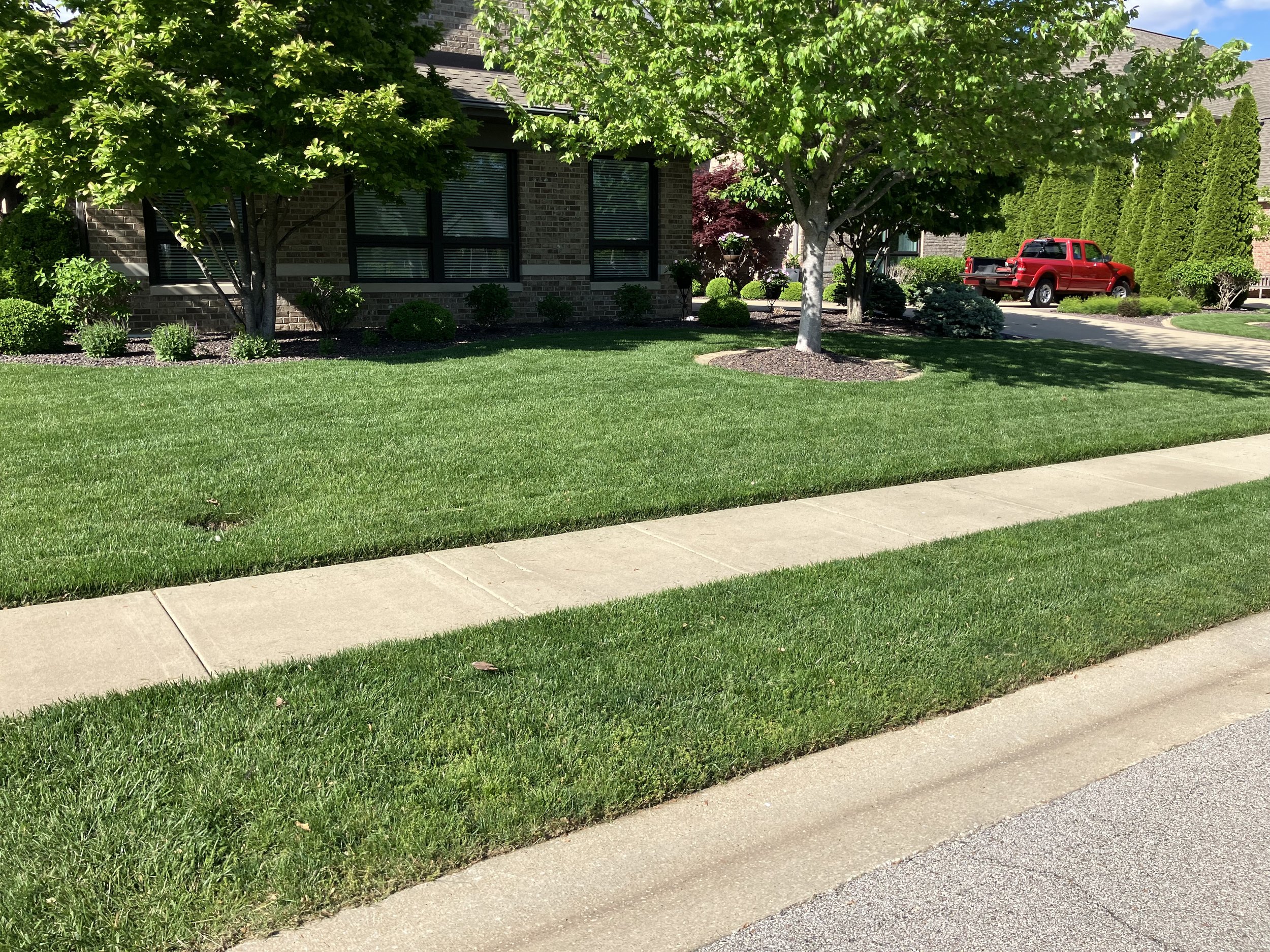 A suburban yard with green grass, two trees, and a house with large windows. There are bushes along the house and a sidewalk in the yard. A red truck is parked in the driveway.