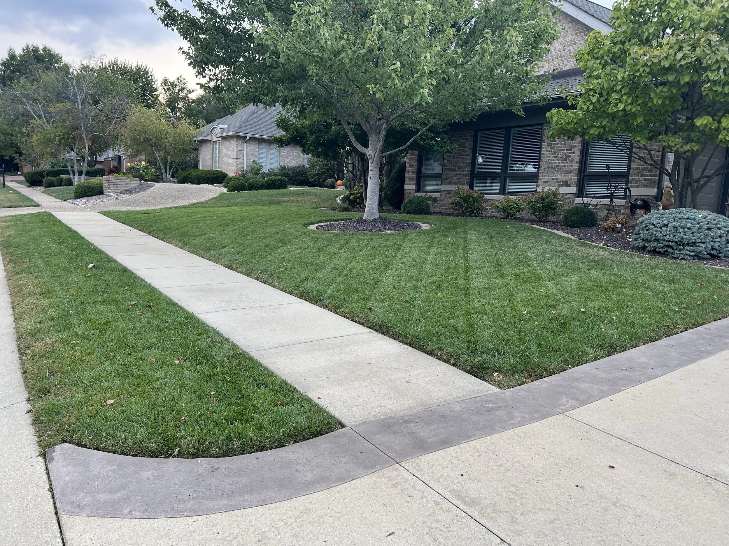 A well-maintained front yard with green grass, a sidewalk, and trees in a residential neighborhood.