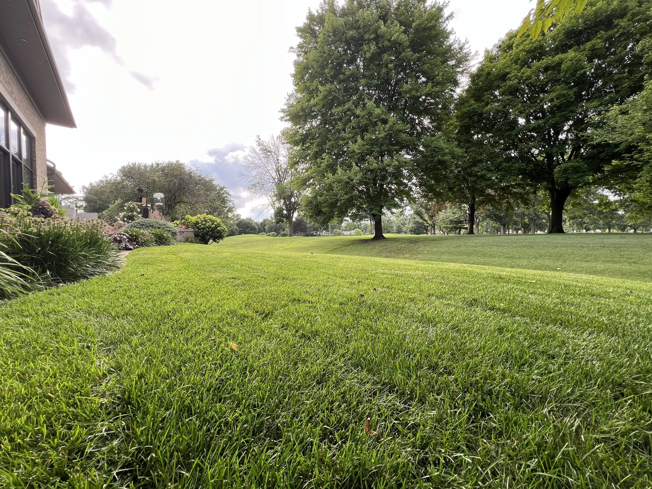 Wide view of a well-maintained green lawn with trees and a house visible on the left side, under a partly cloudy sky.