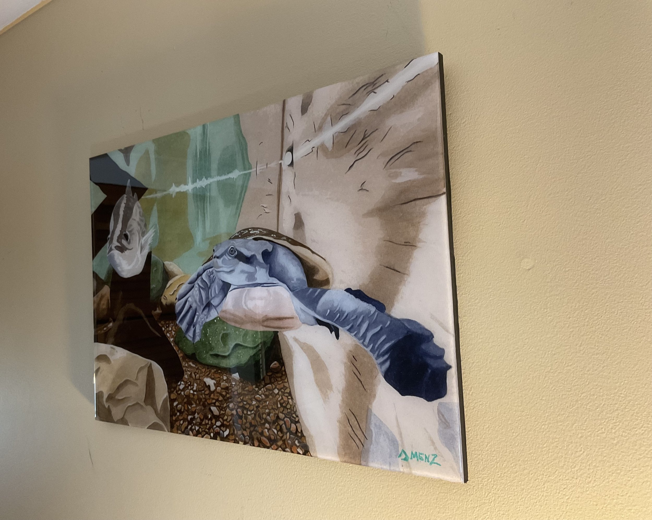 IMG_9436.jpeg