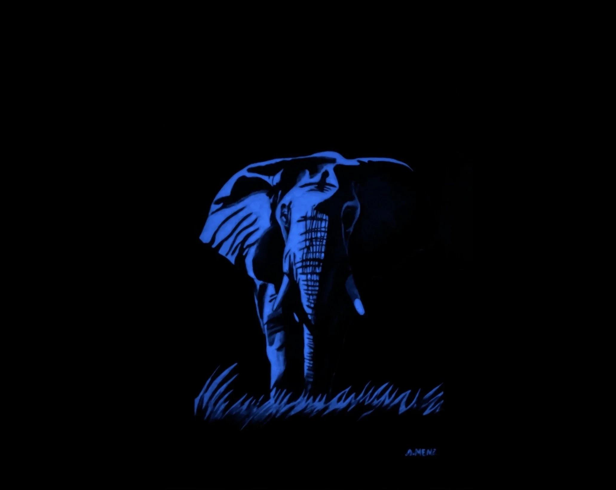 Luminous Elephant