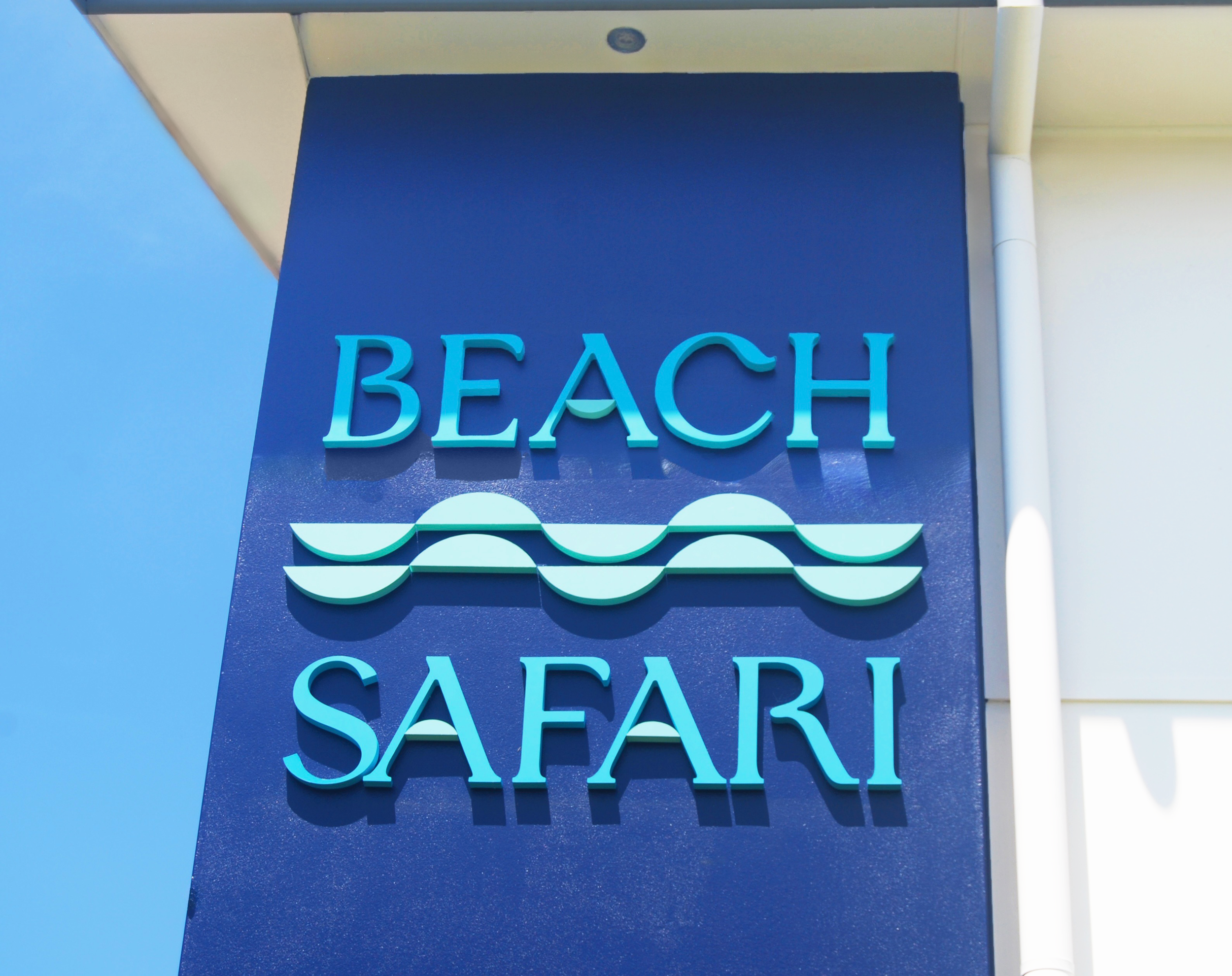 Beach Safari