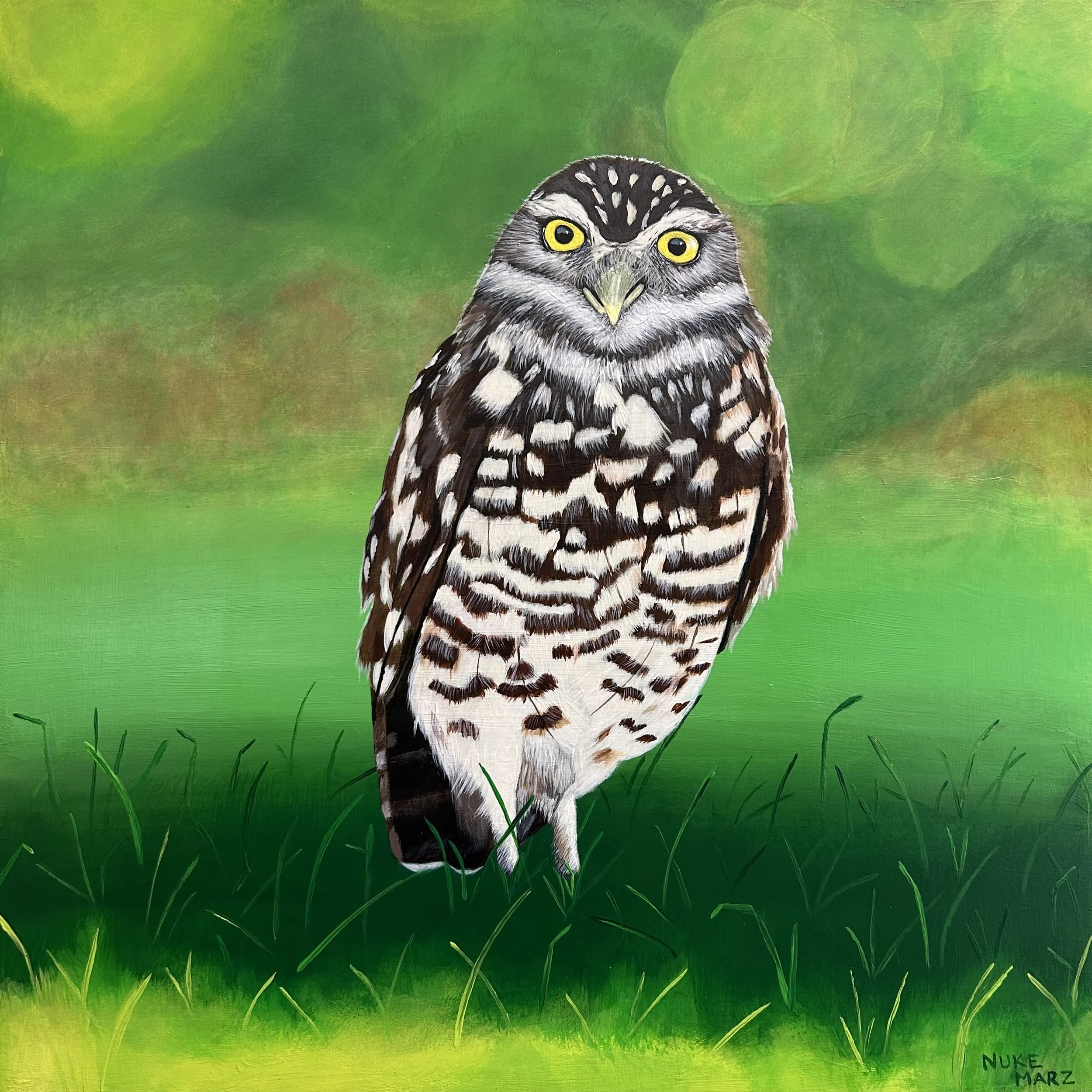 Burrowing Owl (Acrylic Painting)