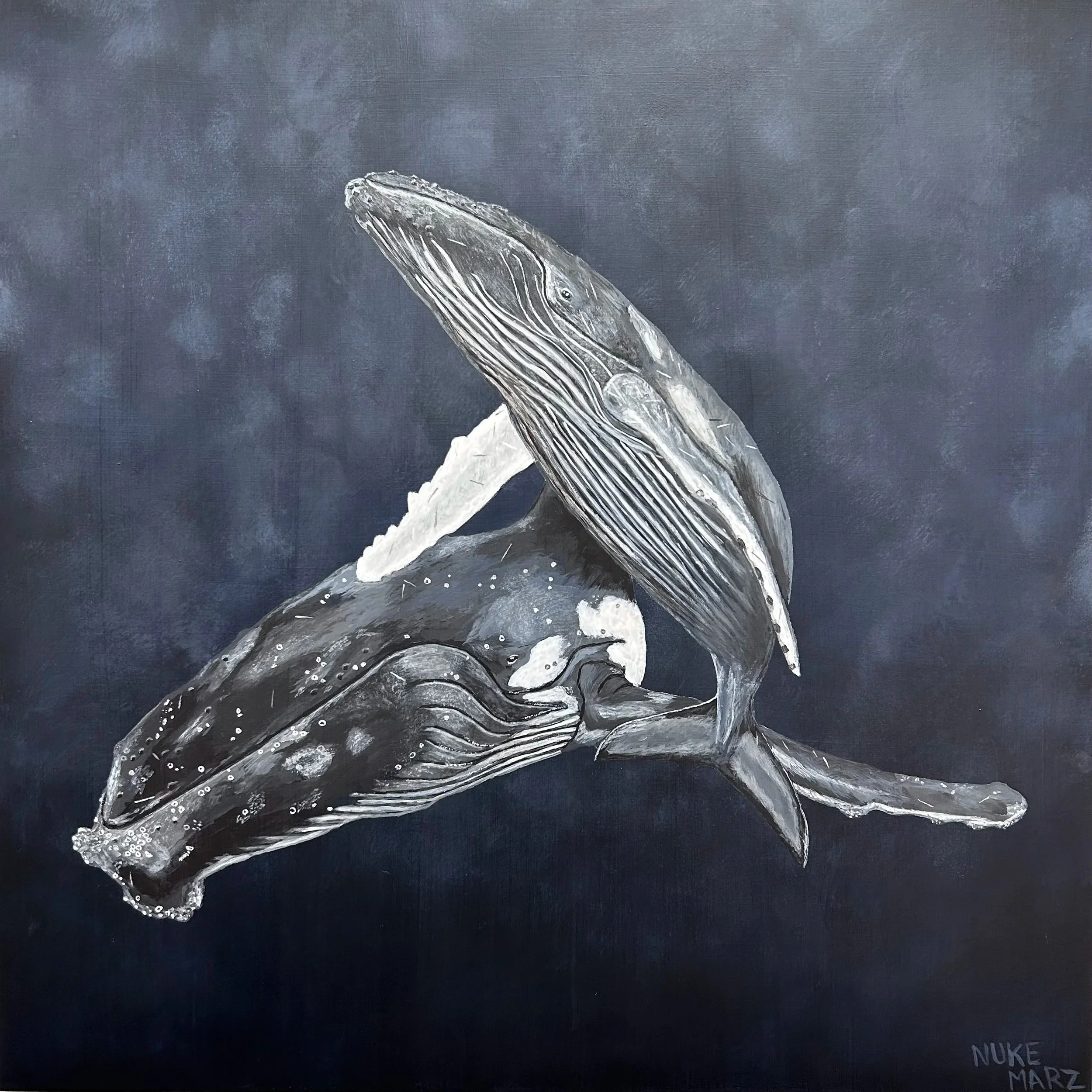 Humpback Whale (Acrylic Painting)