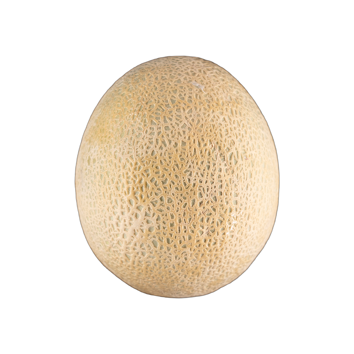 Cantaloupe