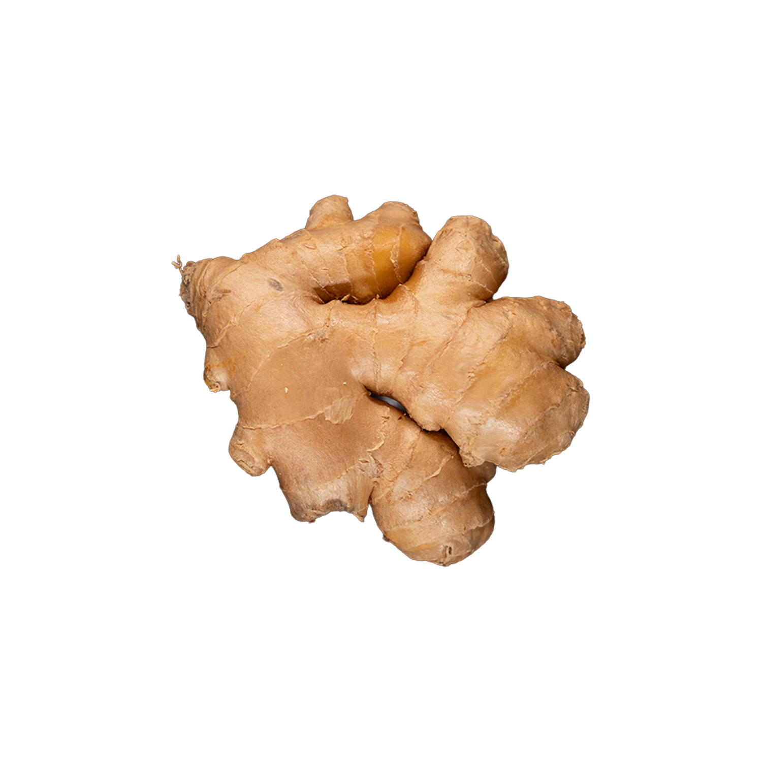 Ginger