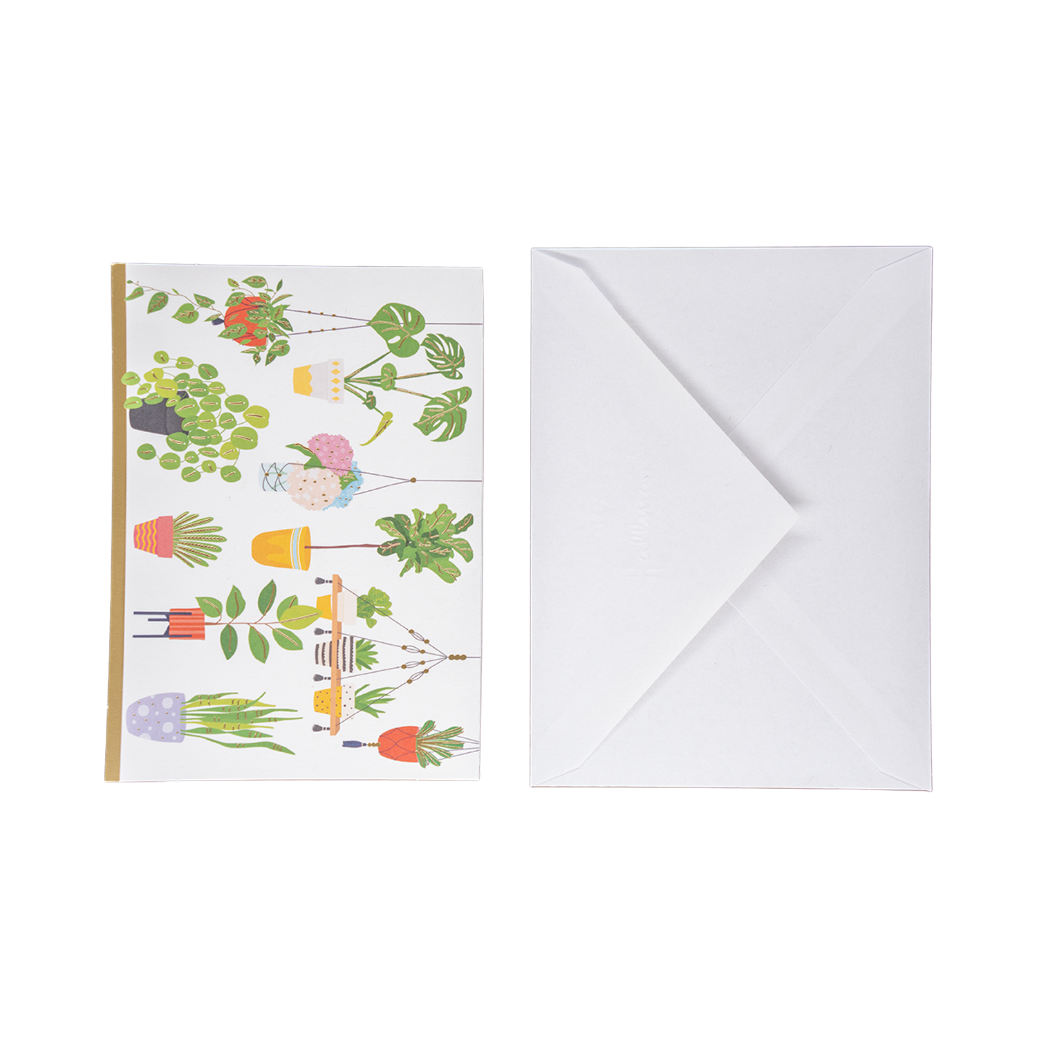 Blank Card + Envelope