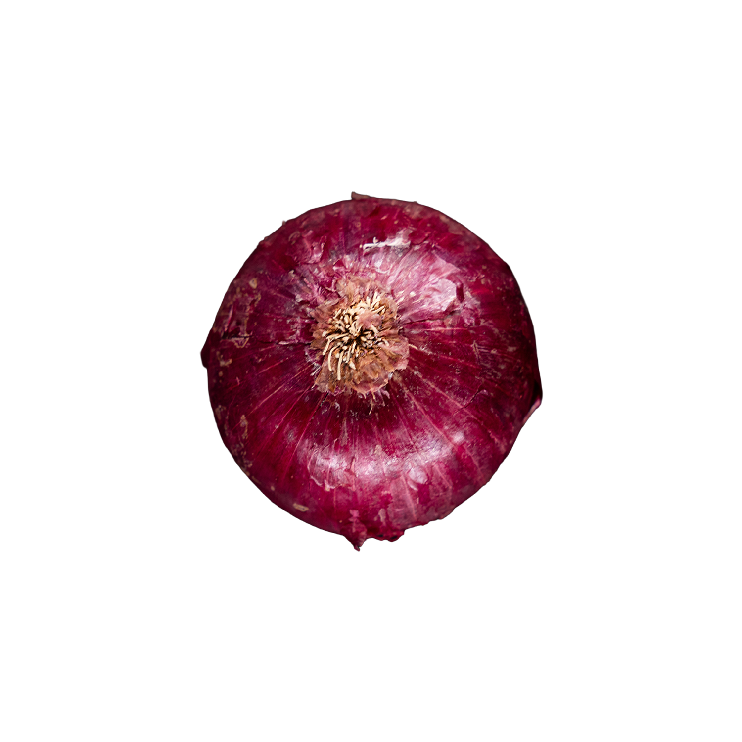 Onion