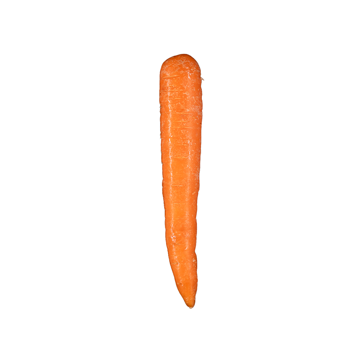 Carrot