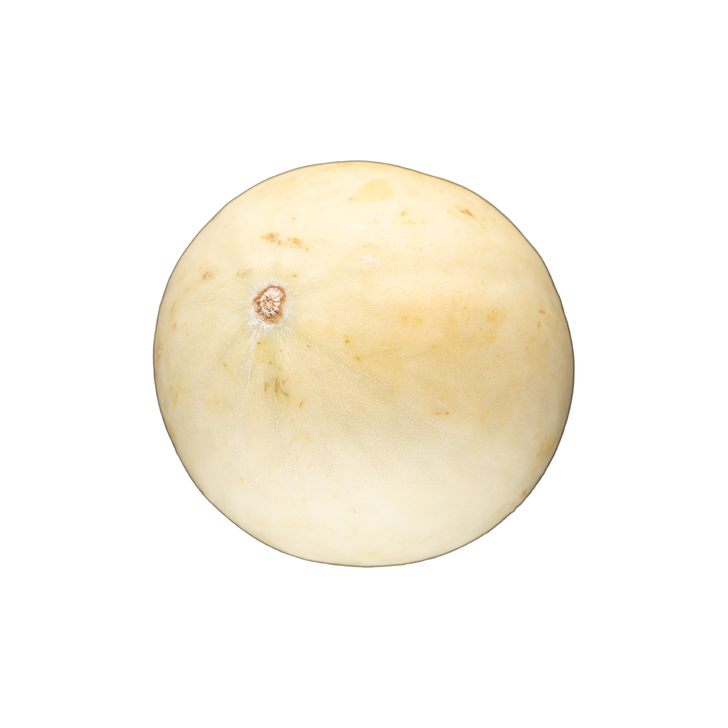 Honeydew Melon