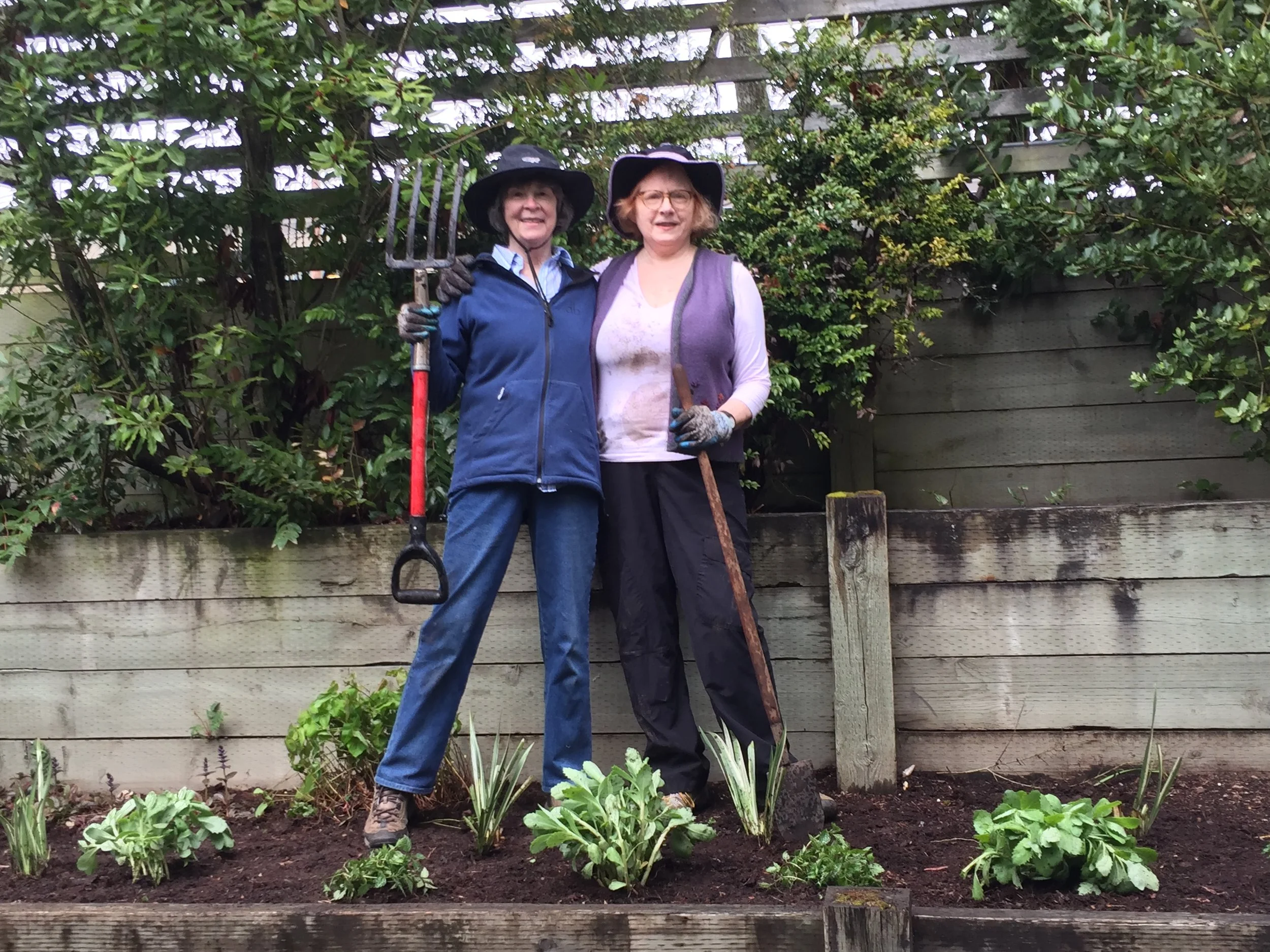 Bainbridge Island Senior &amp; Community Center
