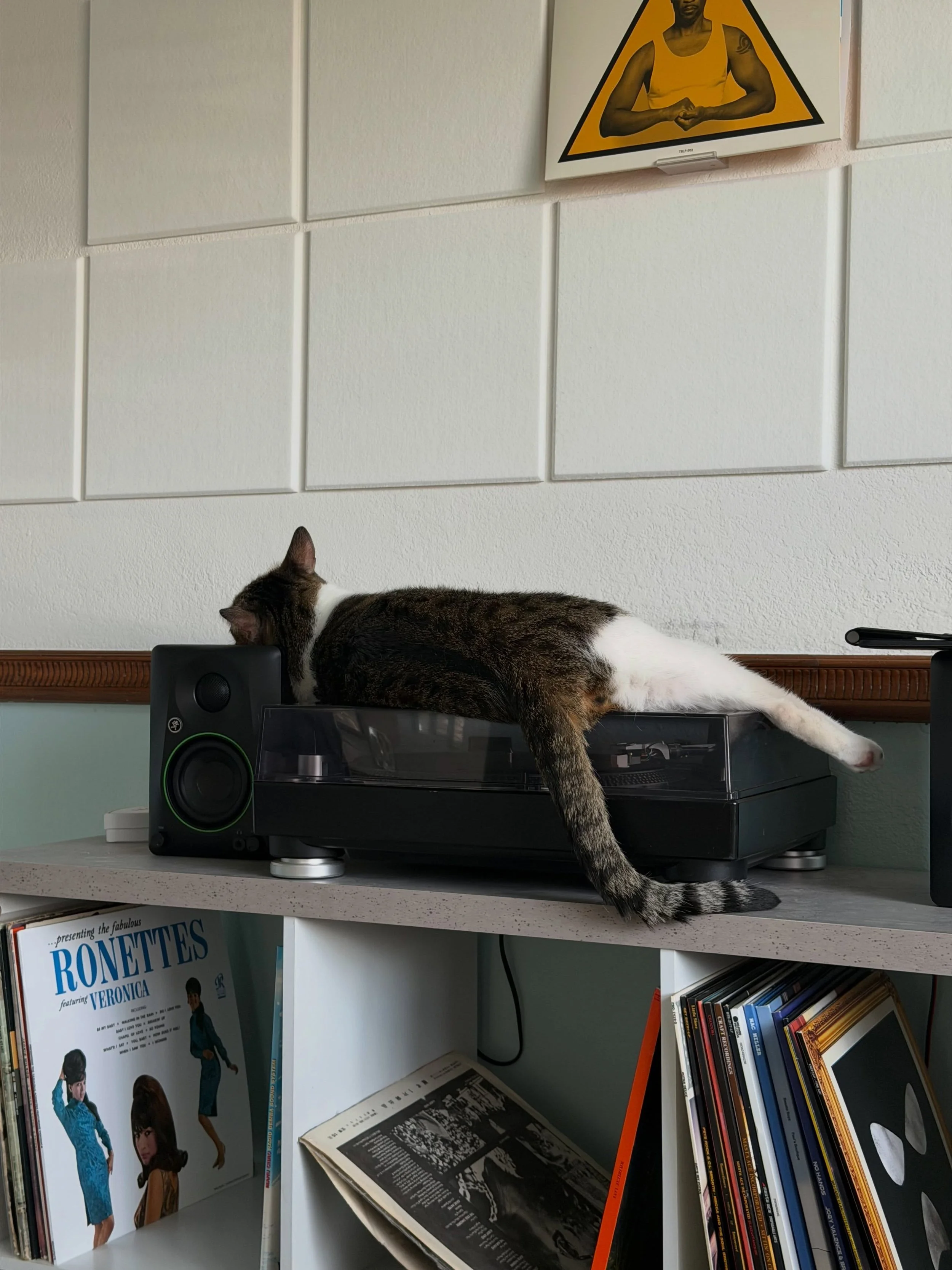 September has been a busy and chaotic month, and Paco is over it!