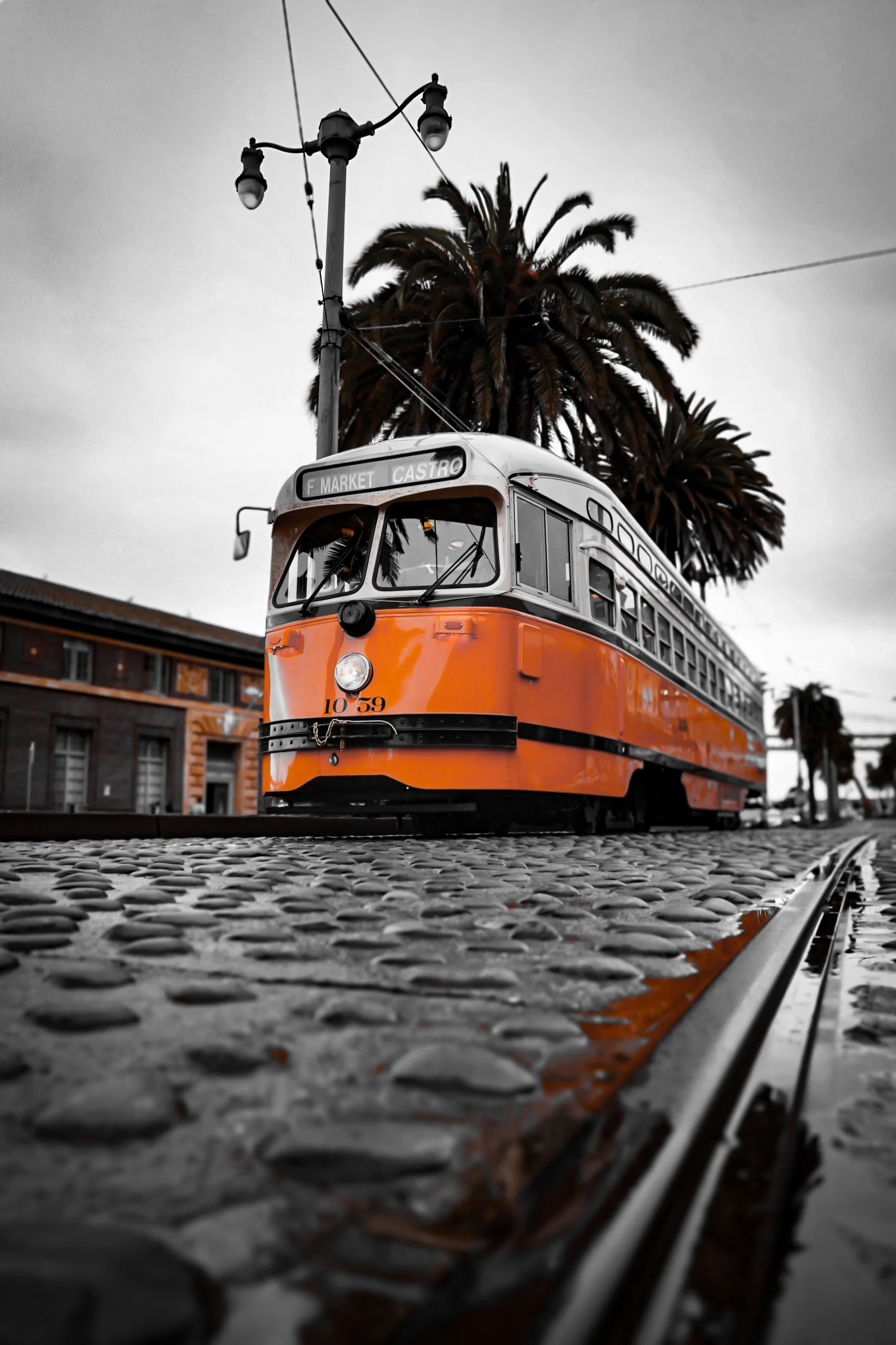 Vintage orange streetcar on metal cobblestone street, black and white background with palm trees, buildings, and overcast sky.