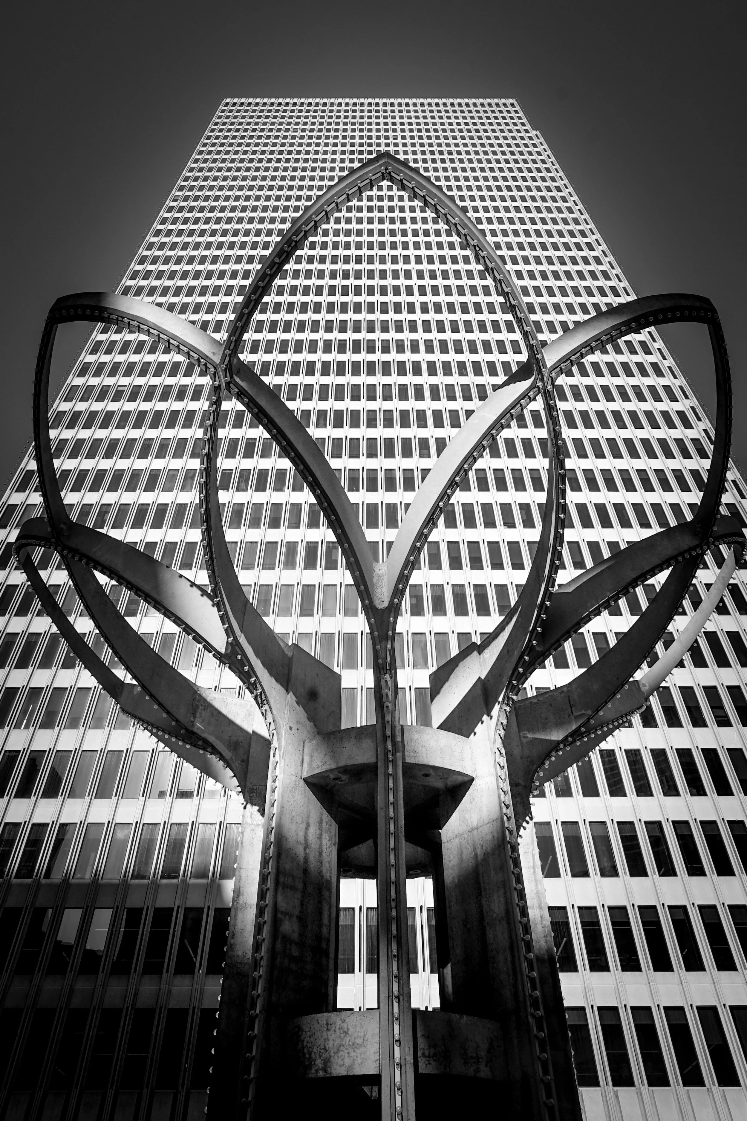 The Tulip