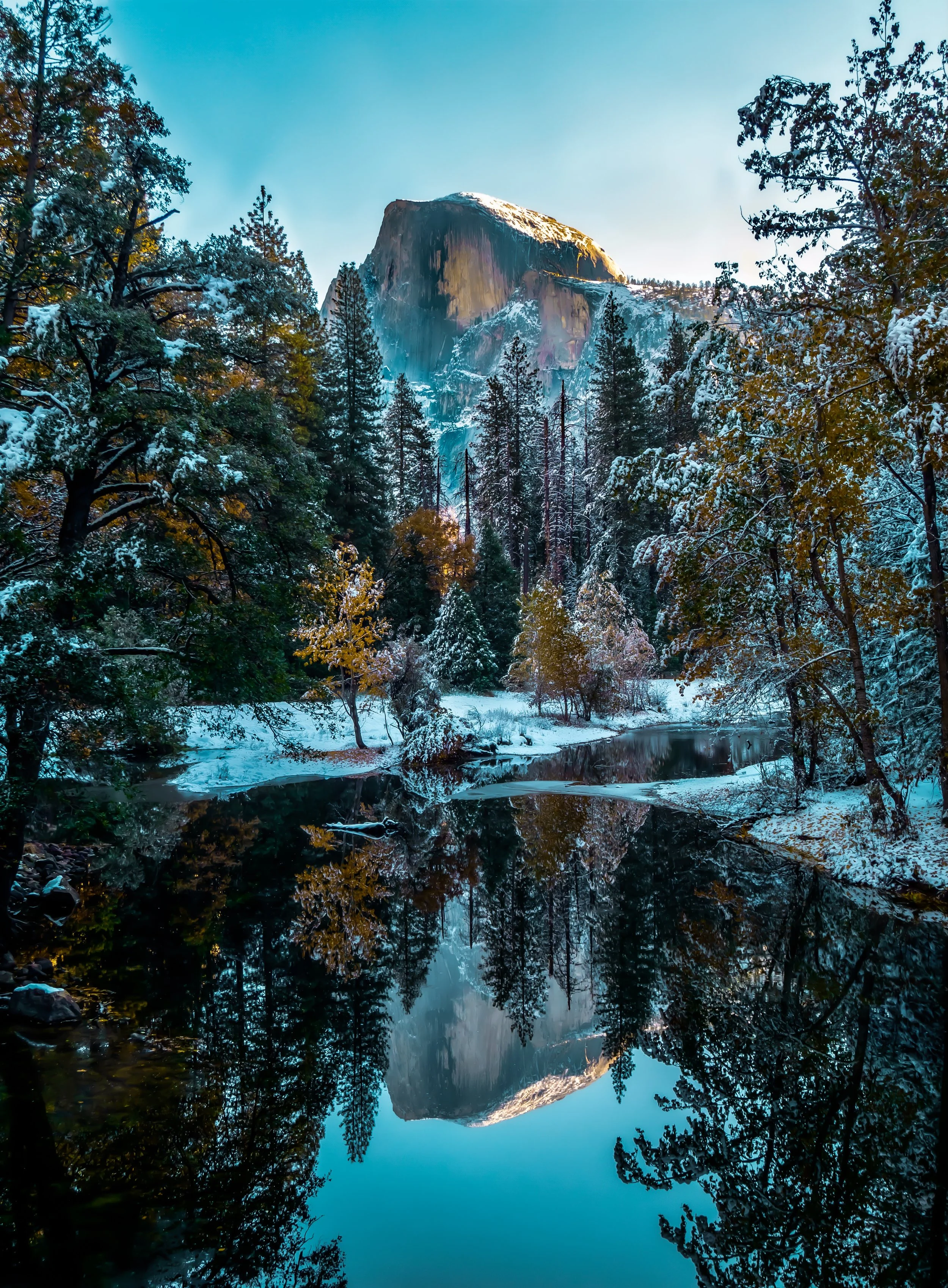 Snow-covered trees and rocky mountain in the background reflecting in a calm river.