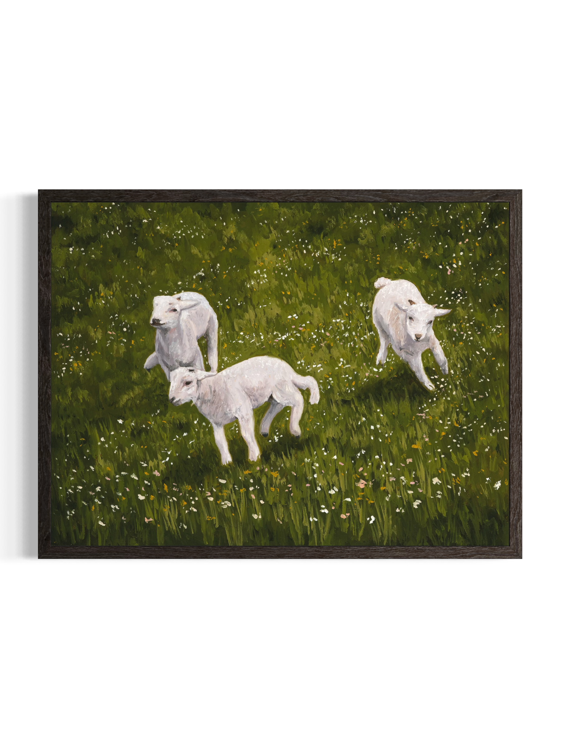 Contemporary fine art print of a trio of lambs running through a flower field