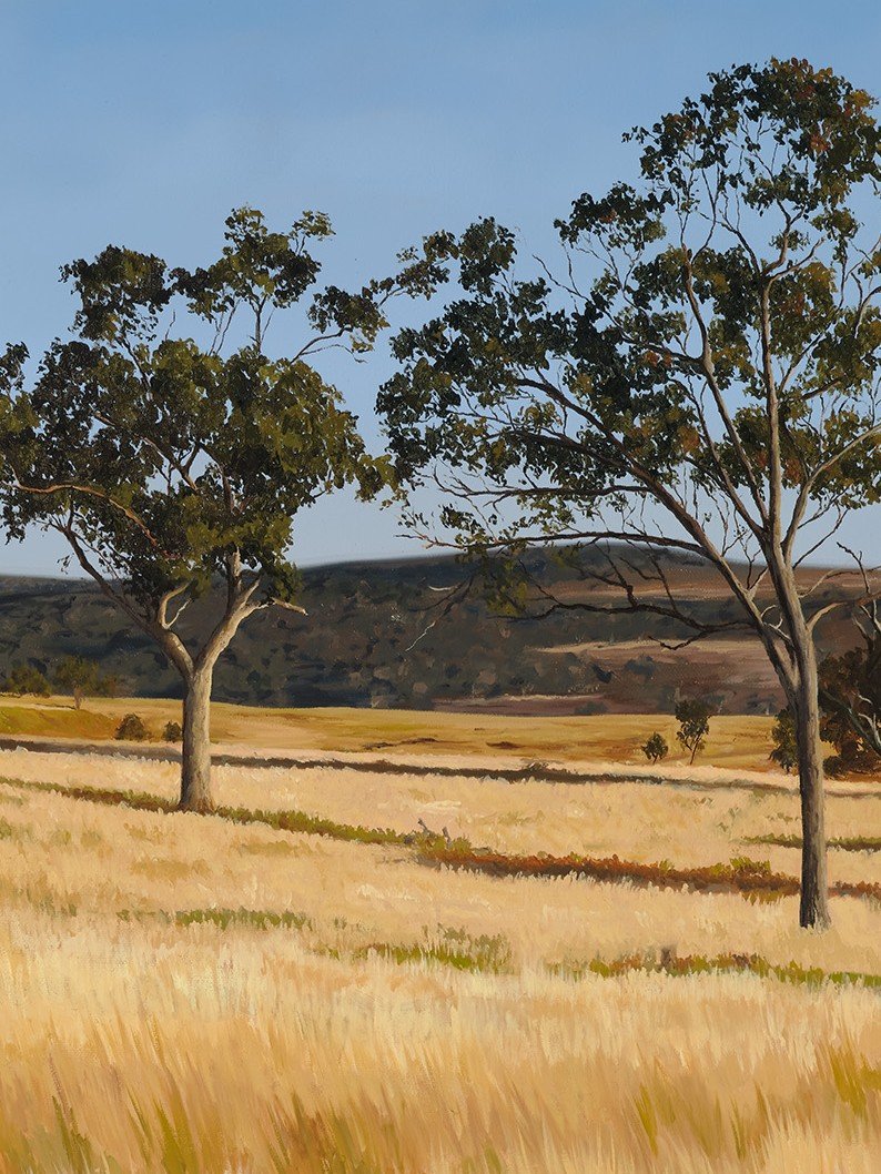 A close up of an australian landscape oil painting print to show brushwork and details