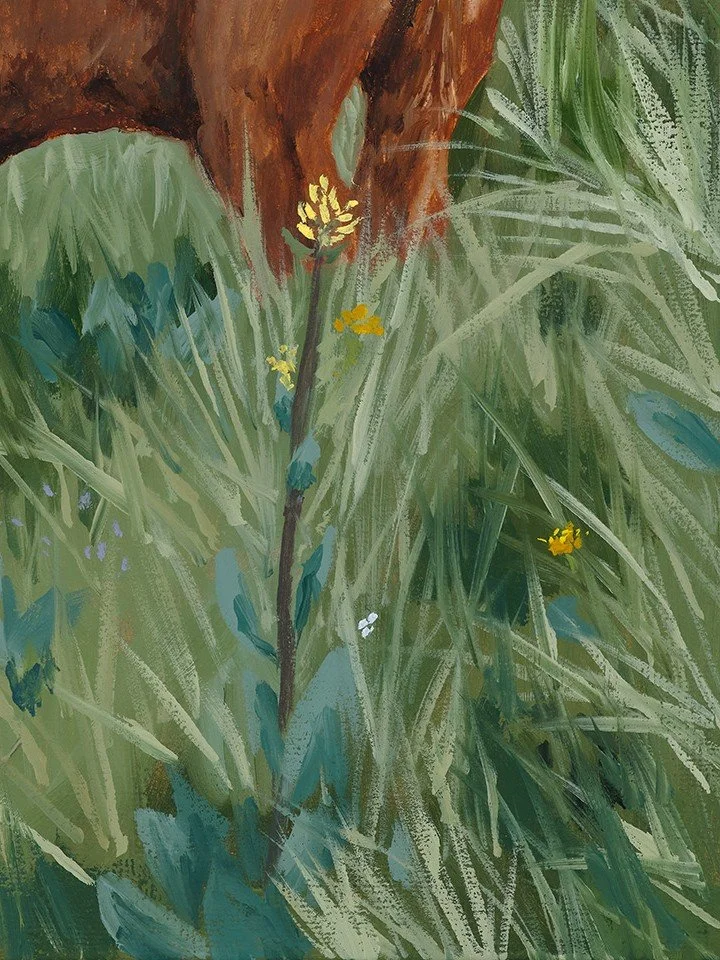 Close up of a fine art print of a calf resting in a flower field to show brushwork and texture