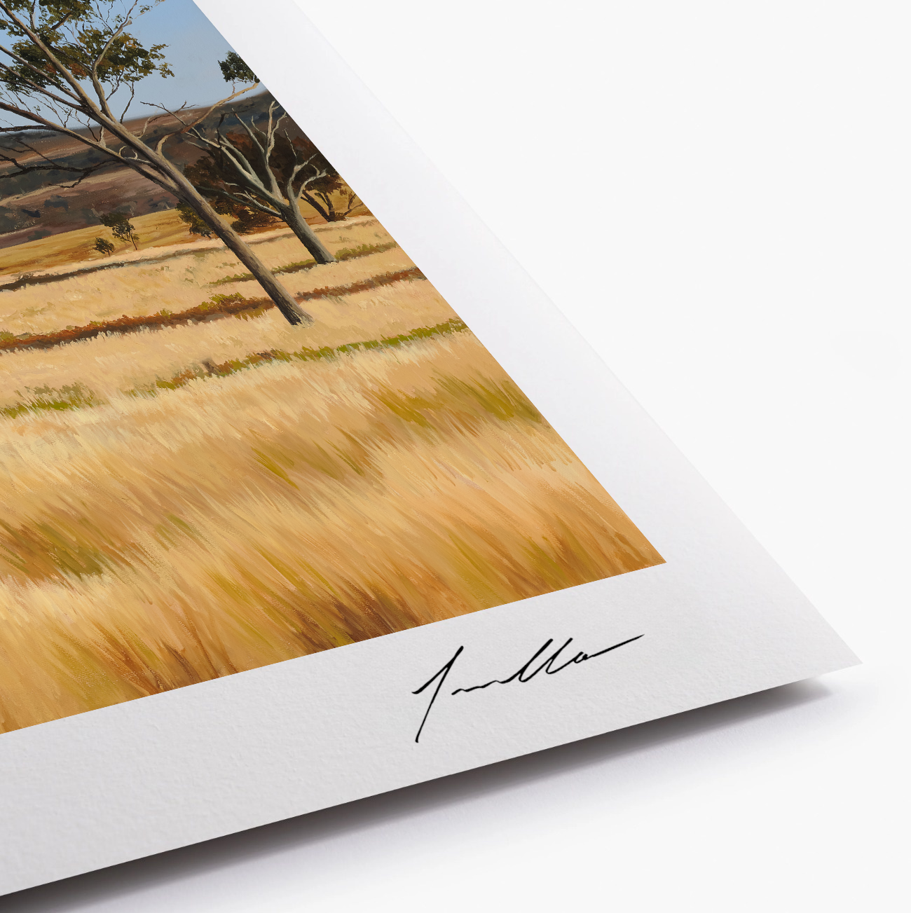 Close up of fine art reproduction showing artist signature