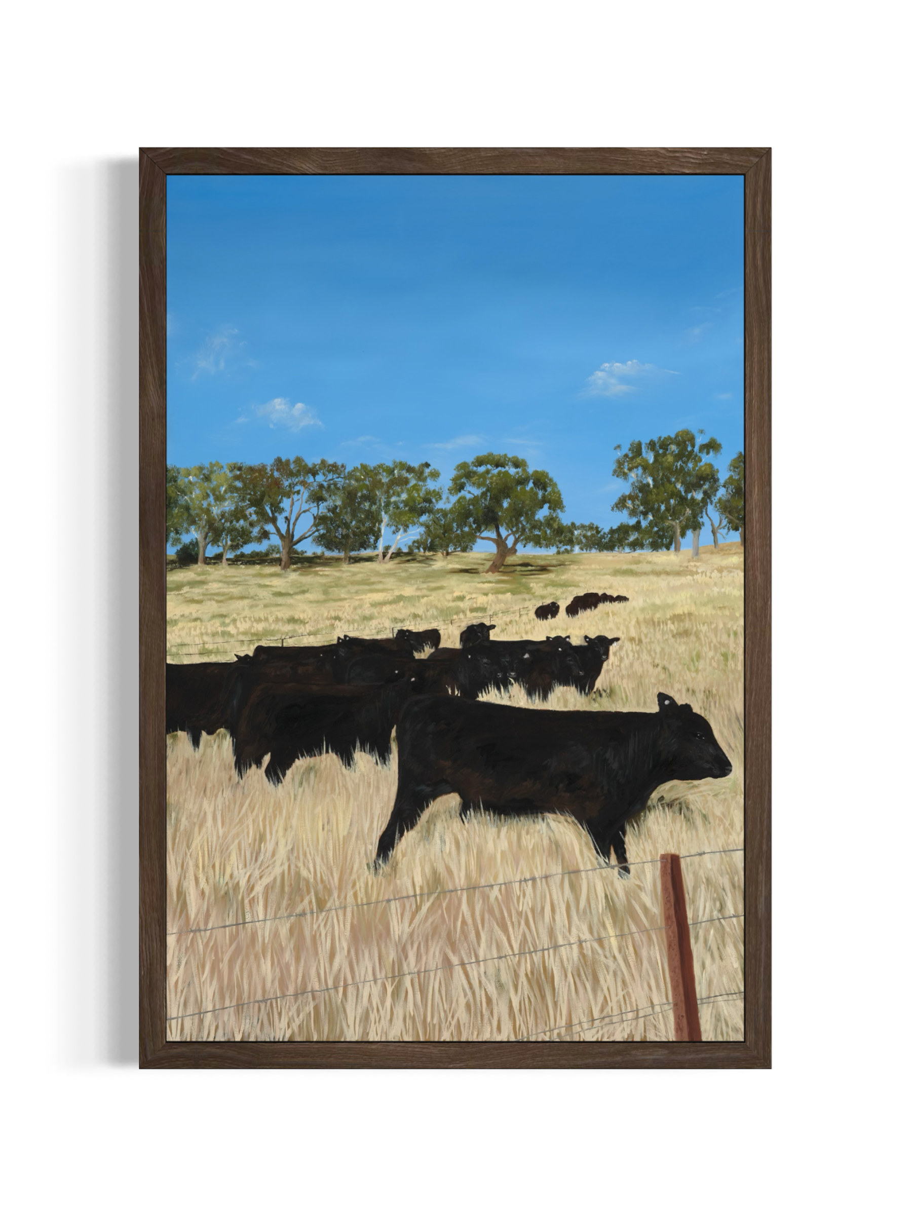 Contemporary fine art print of a herd of cattle in a dry grass field