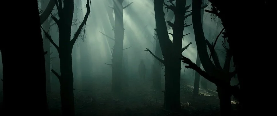 Dark, foggy forest with tall, barren trees and a mysterious shadowy figure in the distance.