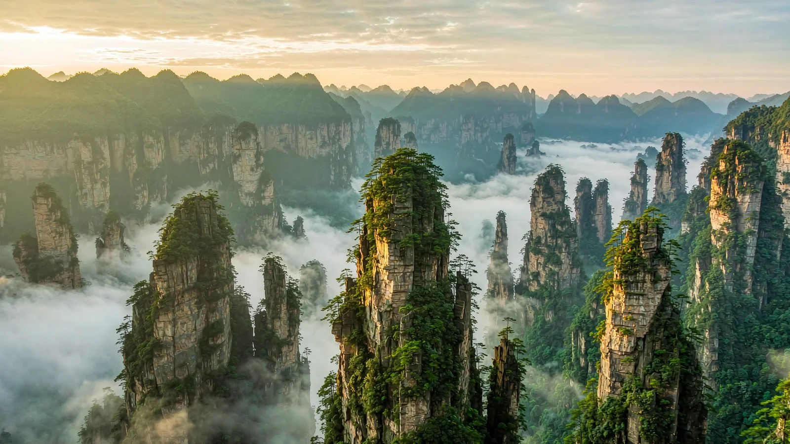 Quartz-sandstone pillars rising out of drifting mist in Zhangjiajie National Forest Park