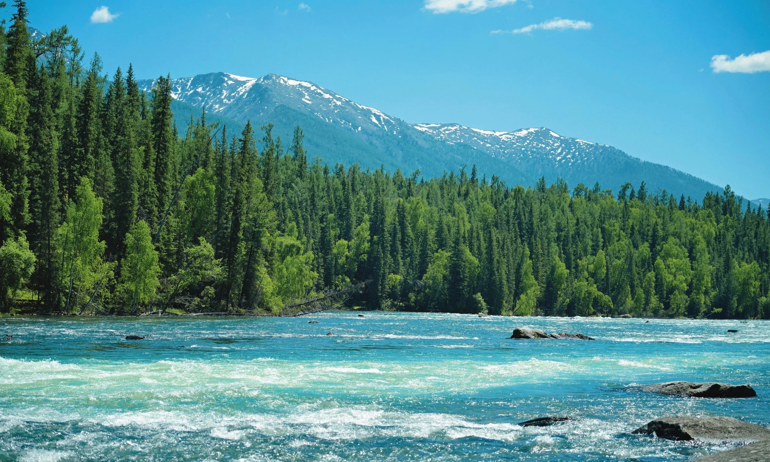 A river flowing through a lush green forest with snow-capped mountains in the background under a partly cloudy blue sky.