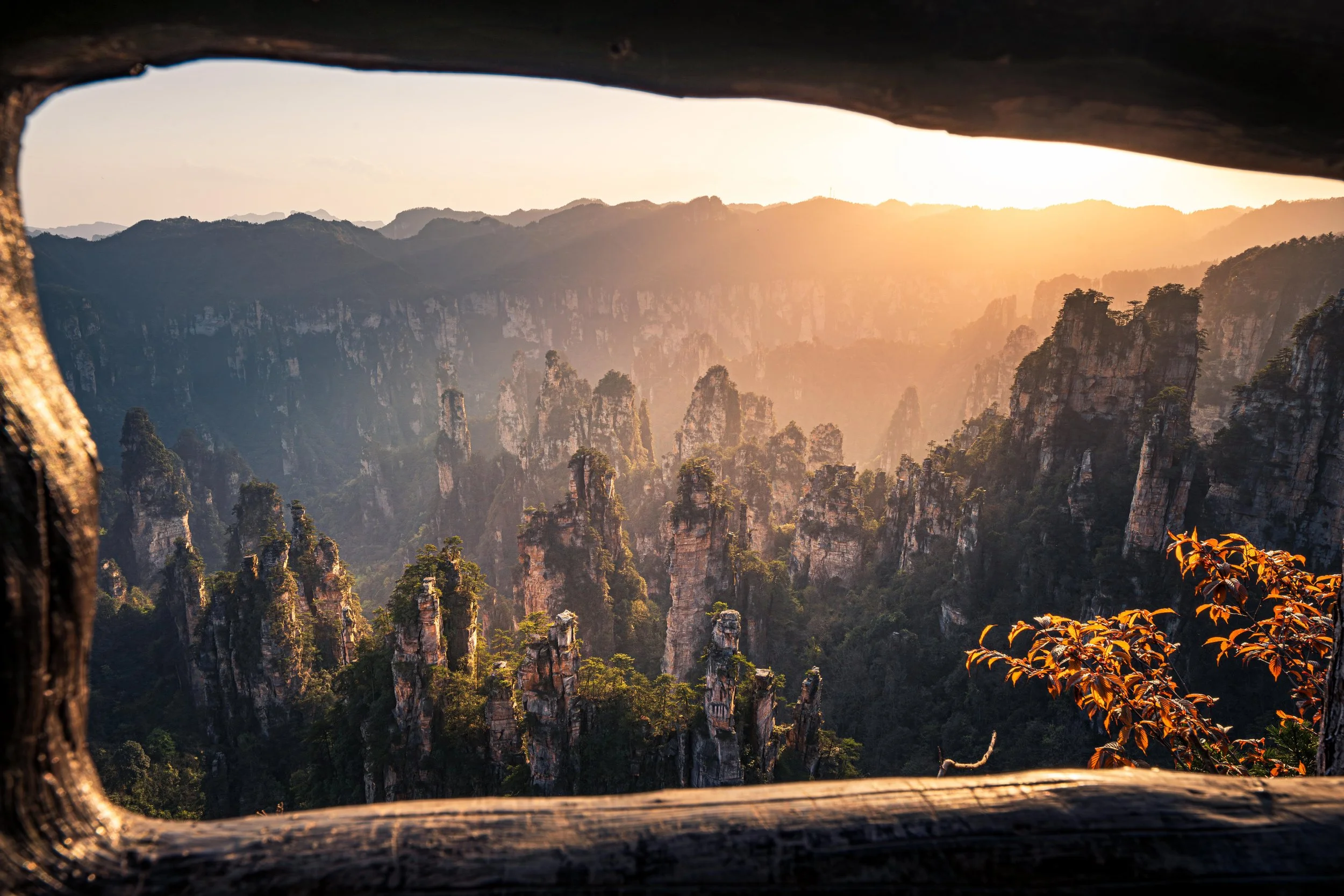 Autumn view of Tianzi Mountain sandstone peaks at sunrise, Zhangjiajie National Forest Park, China