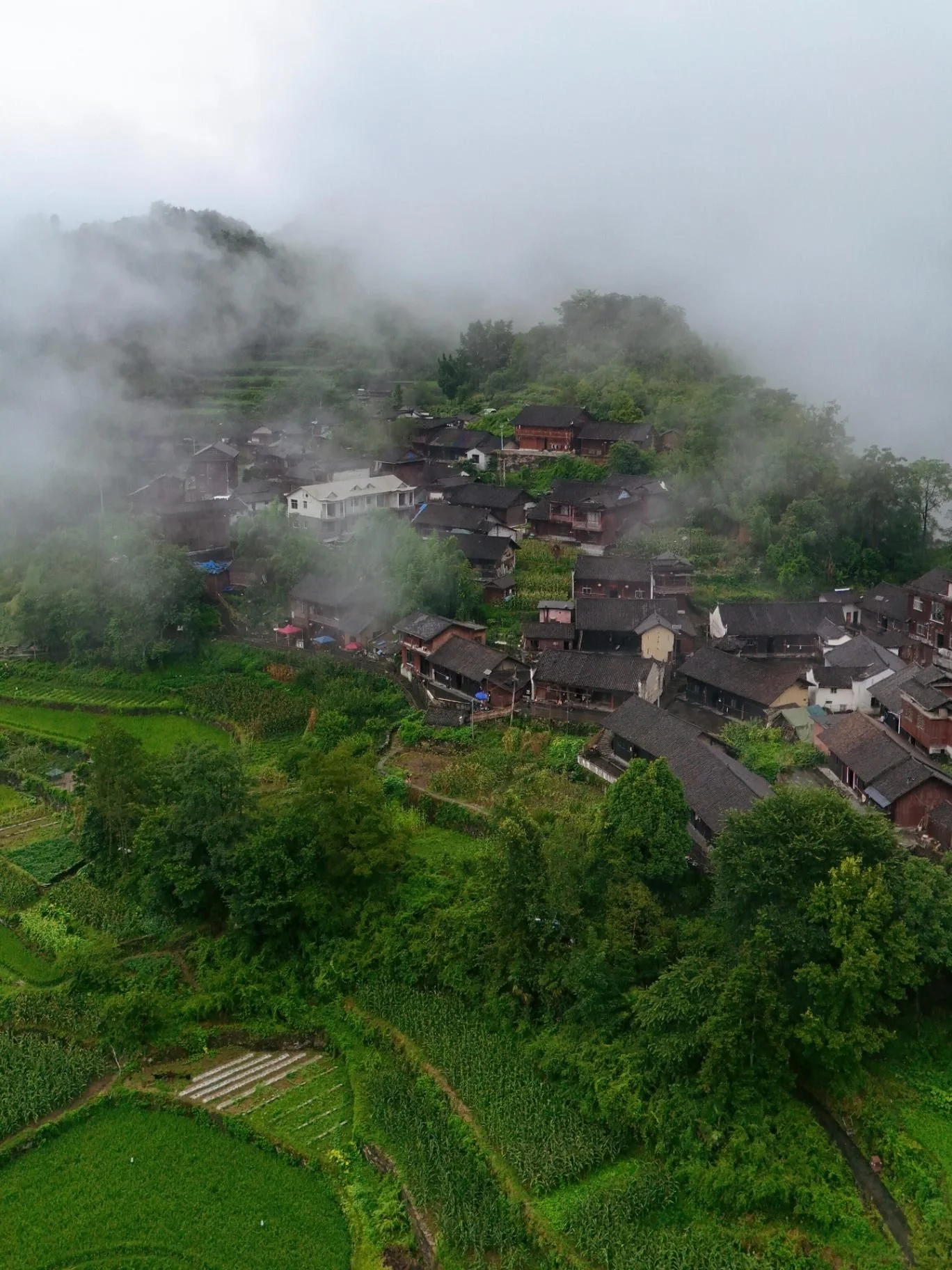 Jidou Miao Village perched on a cliff above terraced fields, wrapped in   mist, Aizhai area, Xiangxi, Hunan