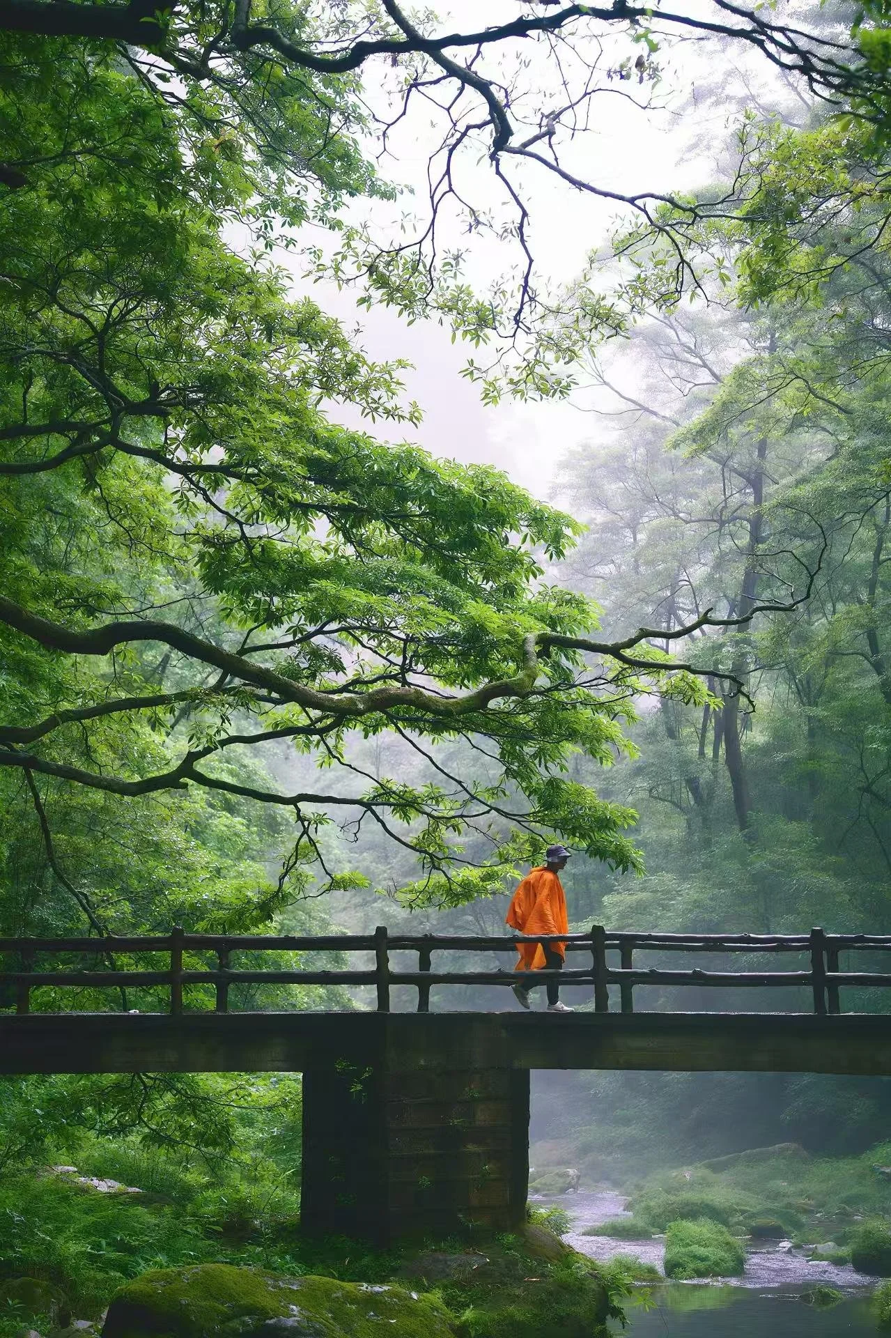 The Ultimate Zhangjiajie National Forest Park Guide: 20-Year Local Expert's Complete Playbook