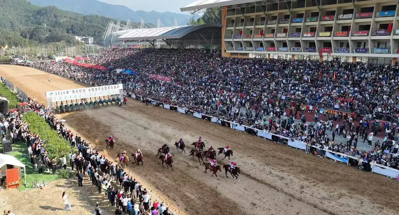Guizhou's "Village Horse Racing" Returns: 46 Days of Shui New Year in Sandu