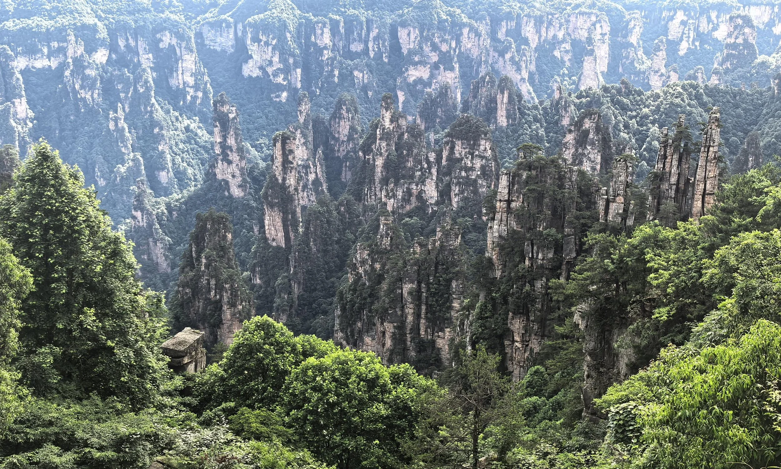 Hunan Officially Launches 5 Cross-Region Premium Routes of the Greater Zhangjiajie International Tourism Zone