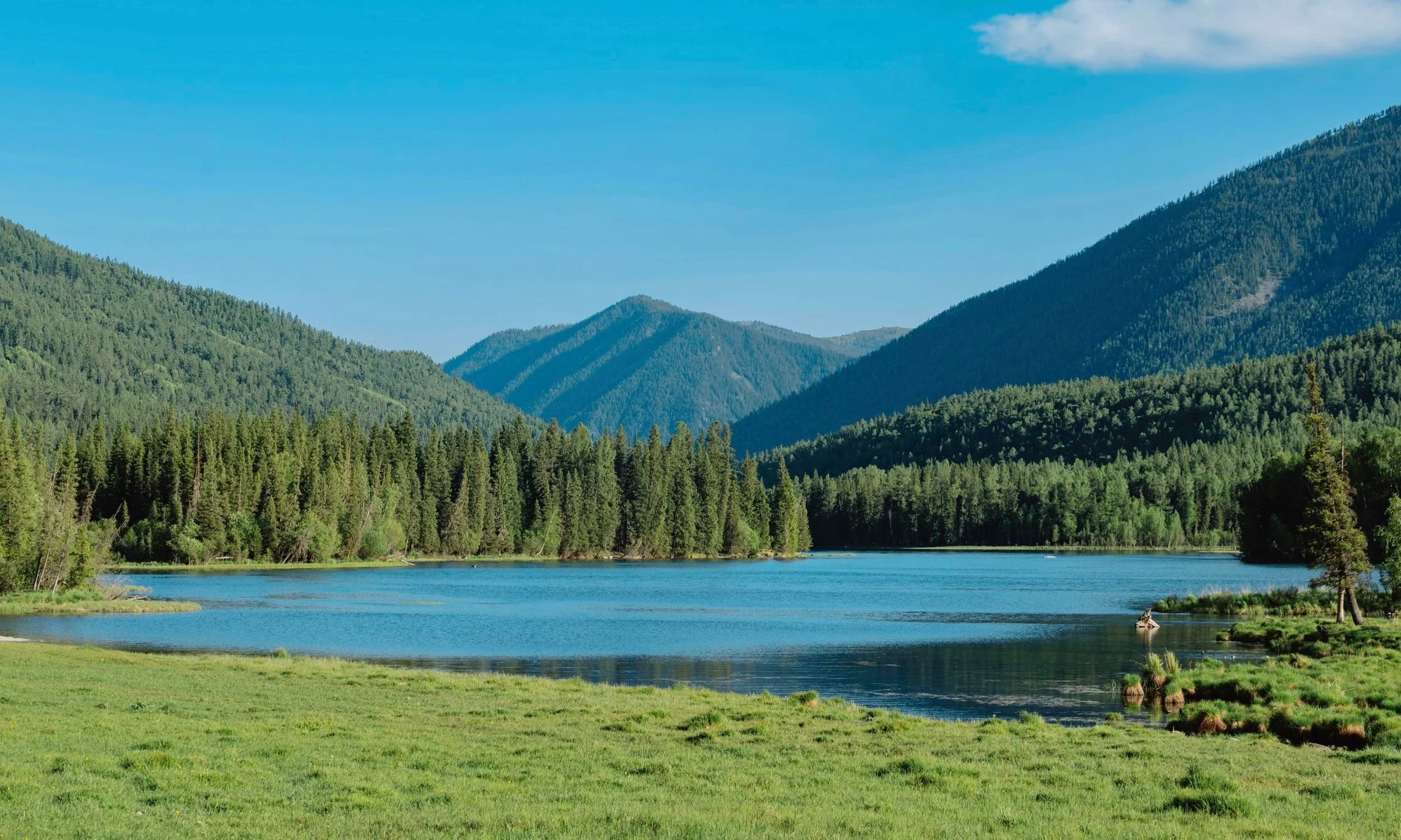 A scenic landscape with a calm lake surrounded by dense green forests and tall mountain peaks under a clear blue sky.