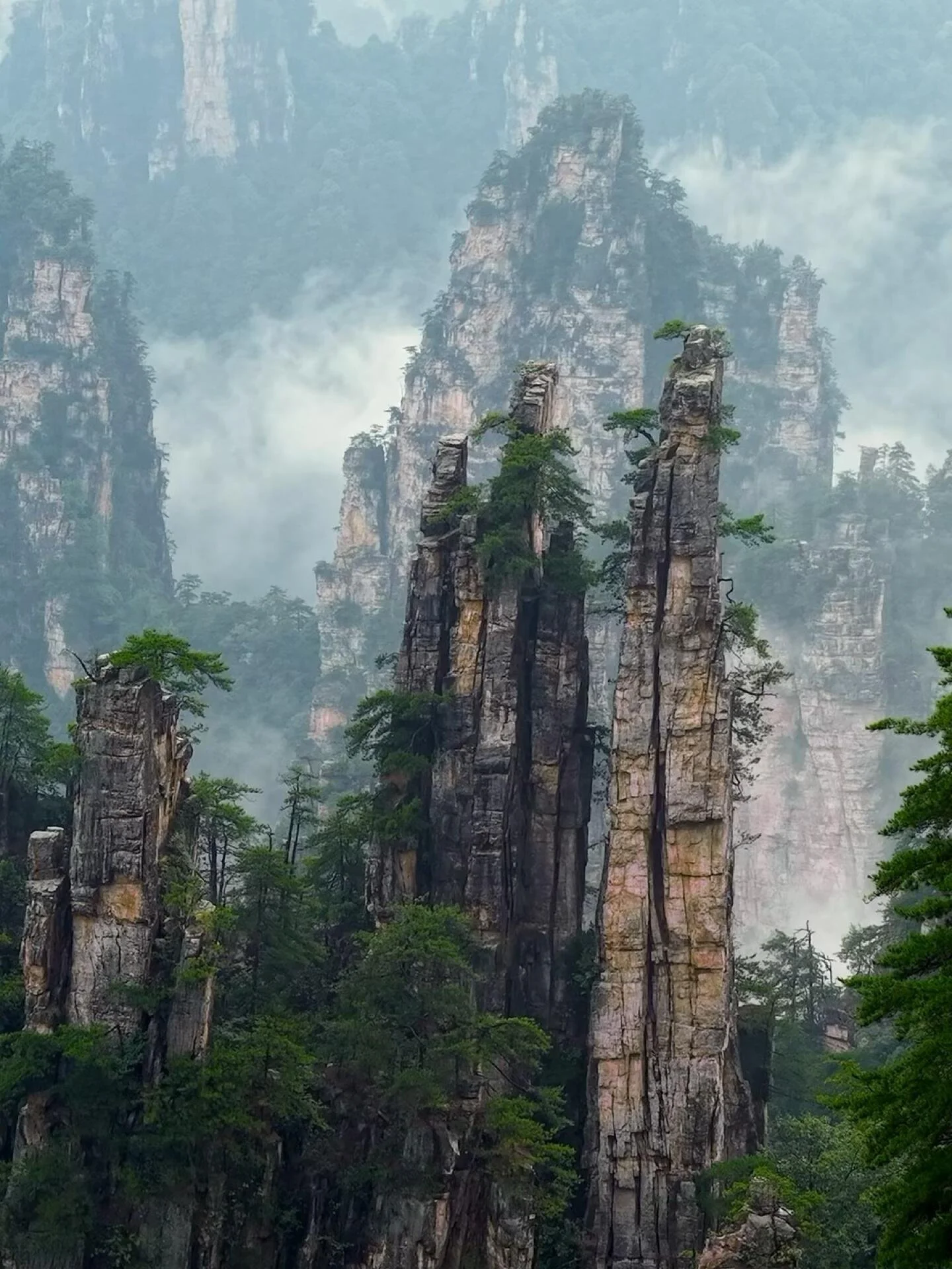 Tall, jagged rock formations with sparse trees growing on top, surrounded by a dense forest and misty atmosphere in a mountainous landscape.