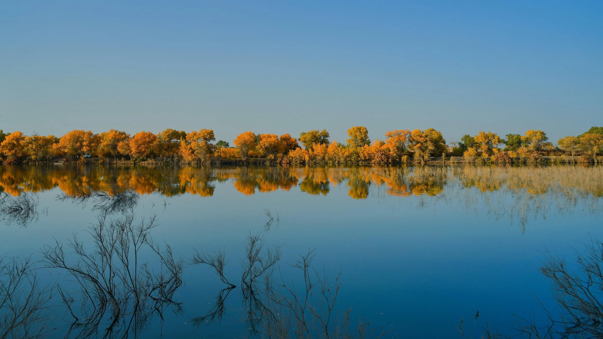 A peaceful lake reflecting a line of autumn-colored trees under a clear blue sky.