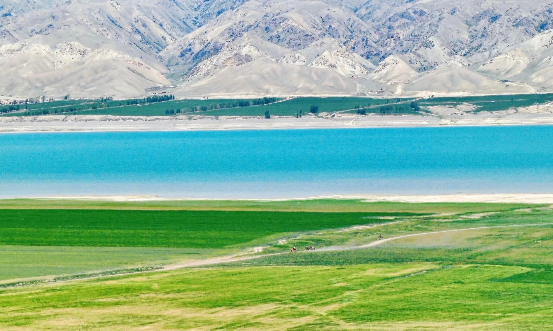Scenic landscape with green fields in the foreground, a bright blue lake in the middle, and snow-capped mountains in the background under a clear sky.